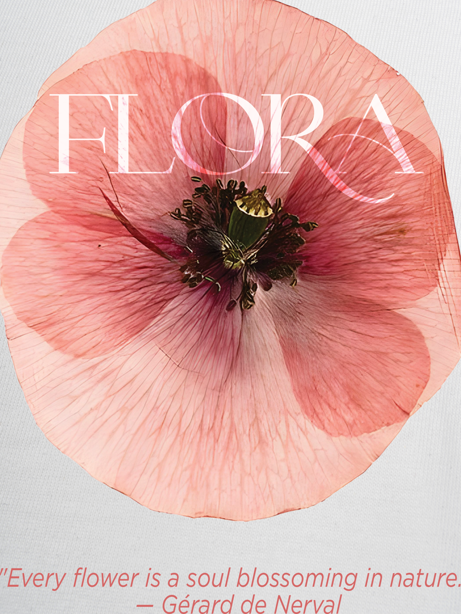 Áo Thun Ringer Relaxed Fit Floral Quote