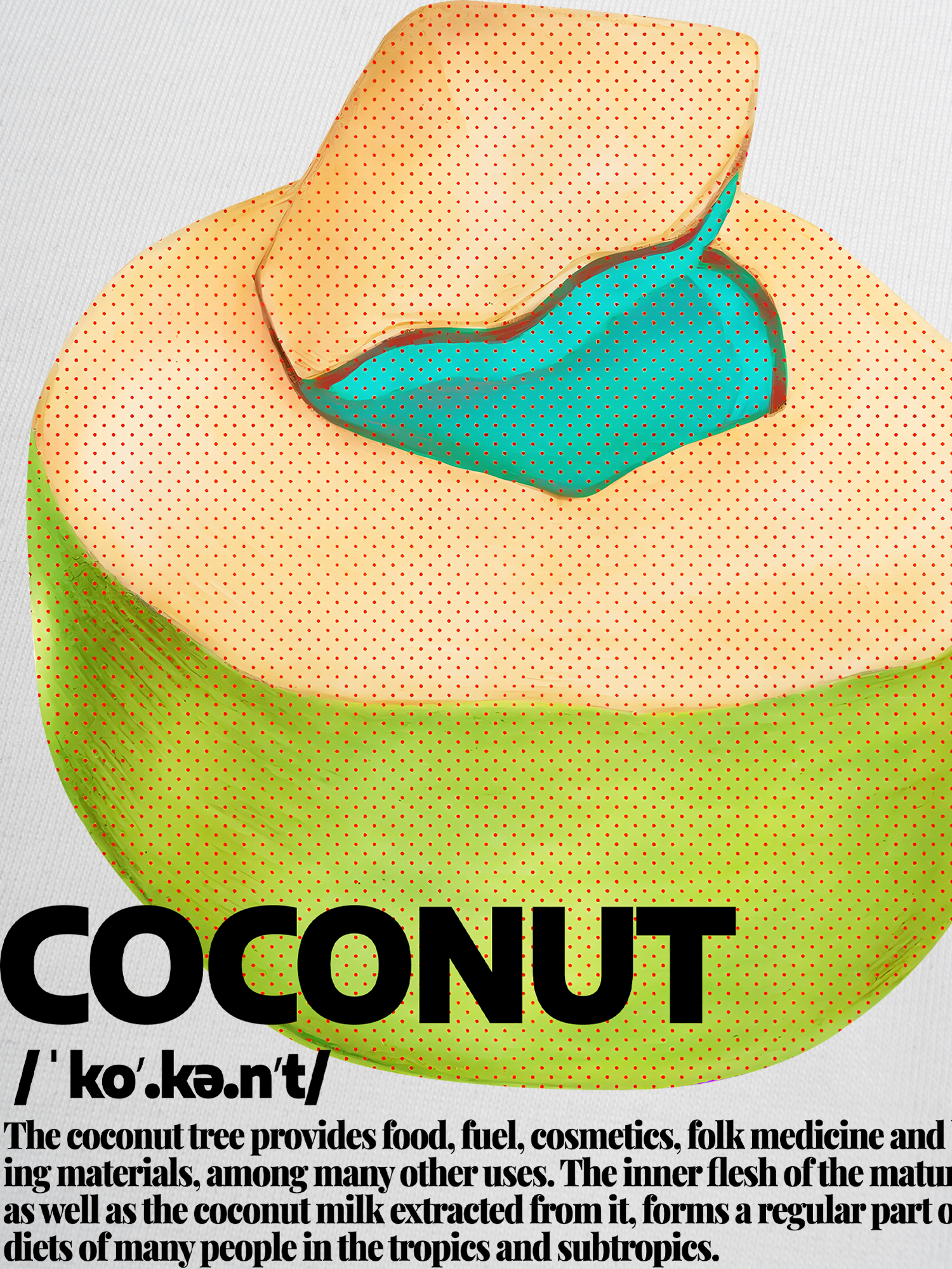 Áo Thun Ringer Relaxed Fit Tropical Coconut Retro