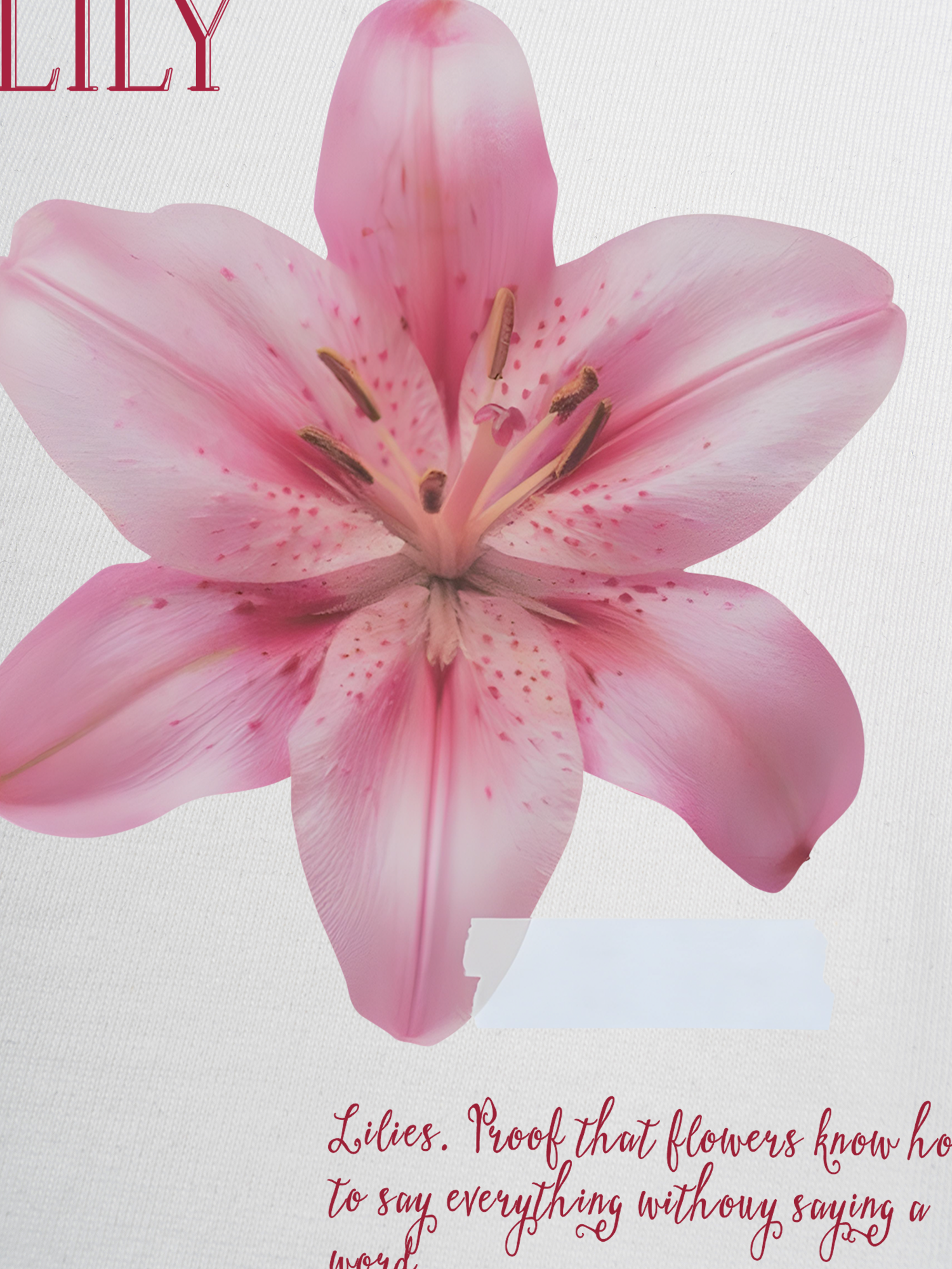 Áo Thun Ringer Relaxed Fit Floral Lily_s language