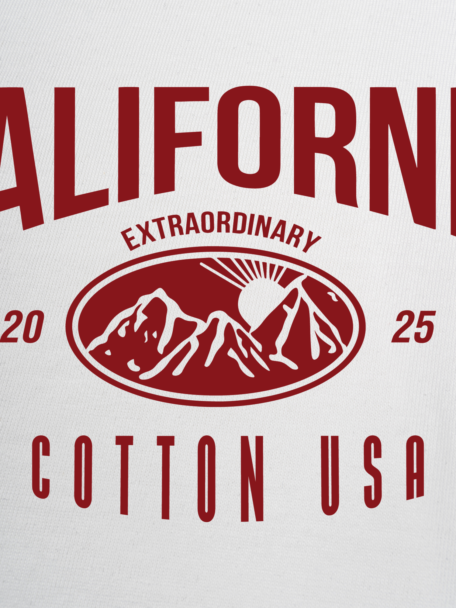Áo Thun Ringer Relaxed Fit USA California Extraordinary