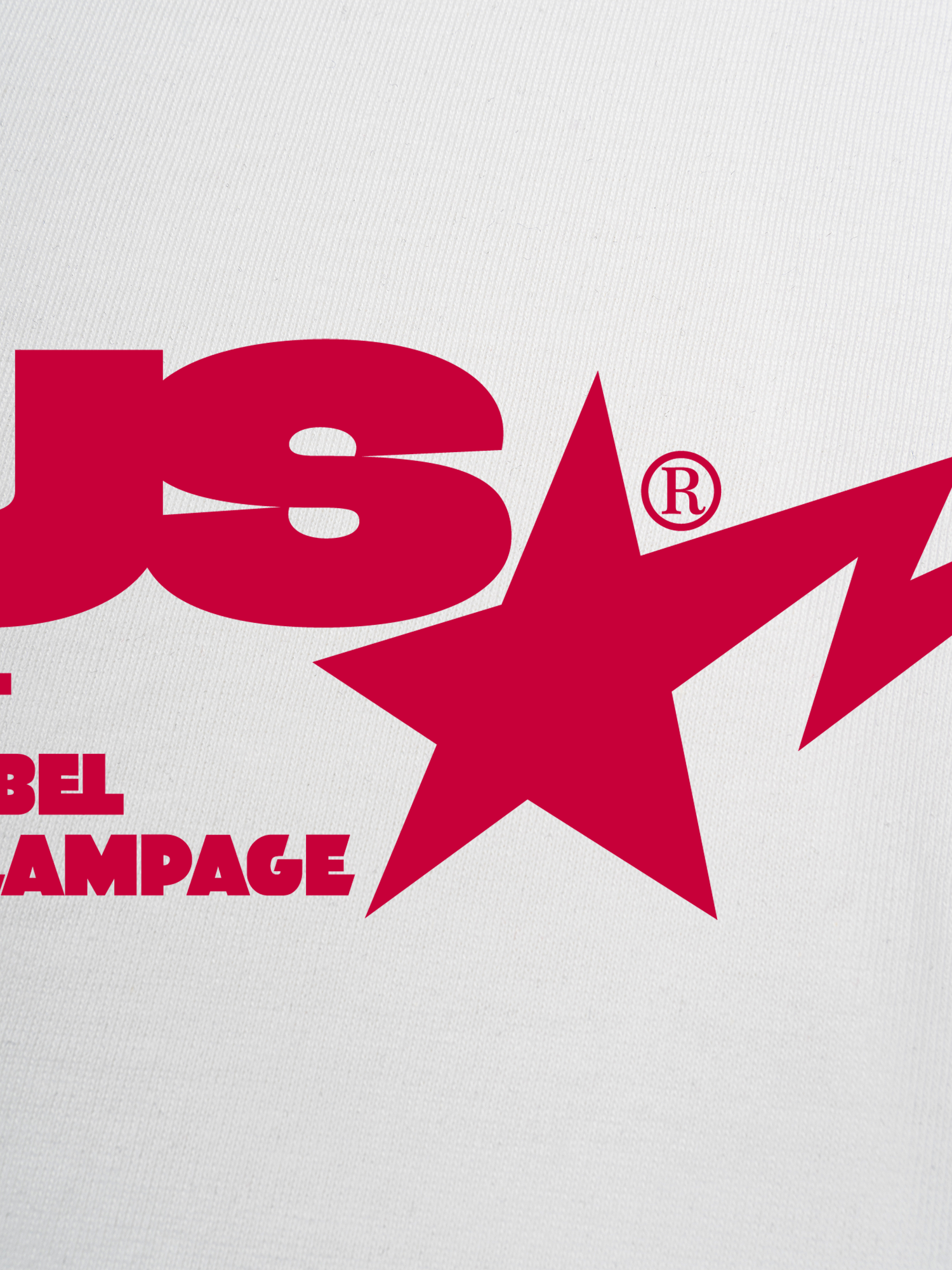 Áo Thun Ringer Relaxed Fit USA Riot Rebel Rampage