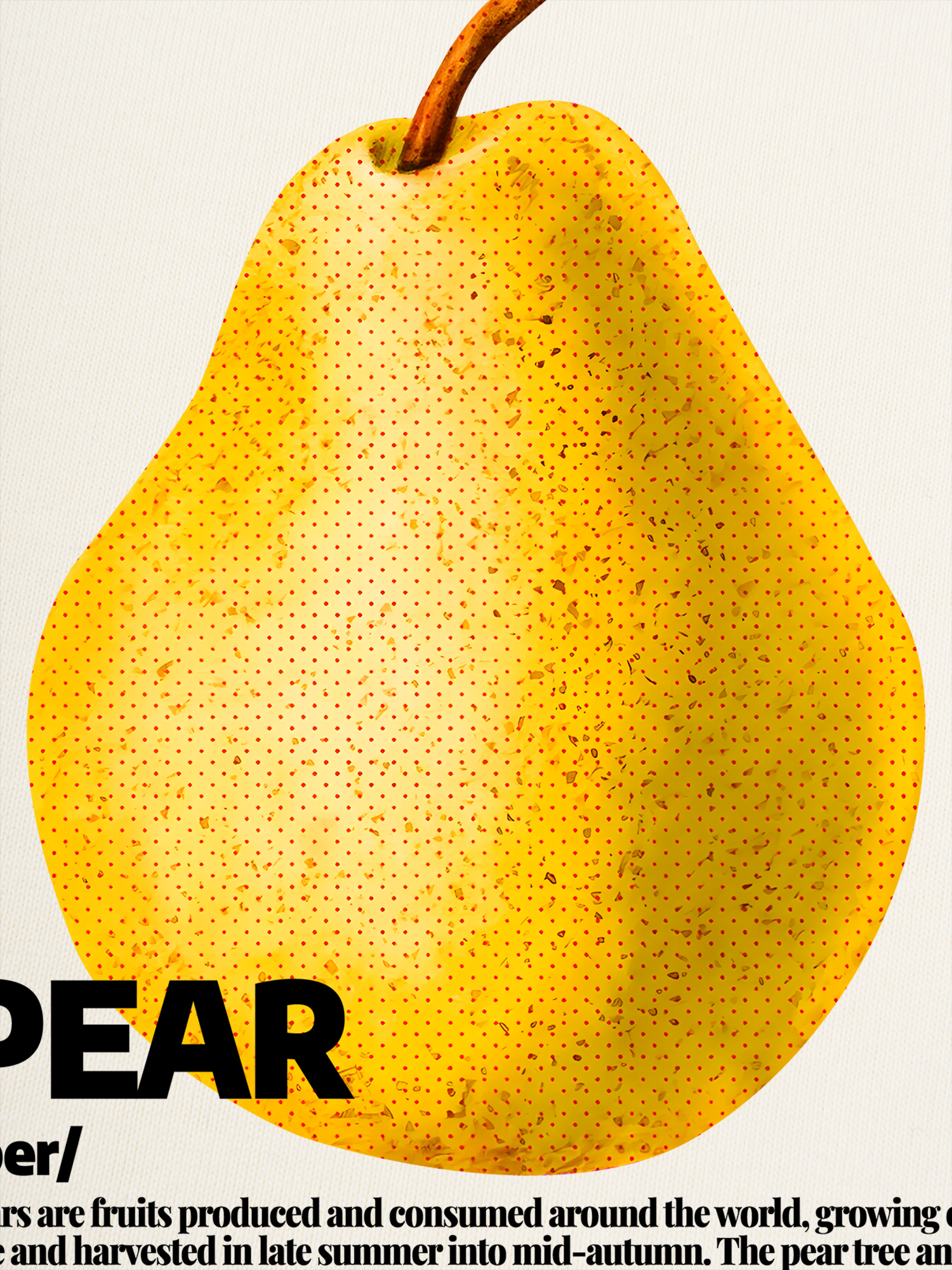 Áo Thun Ringer Relaxed Fit Tropical Pear Retro