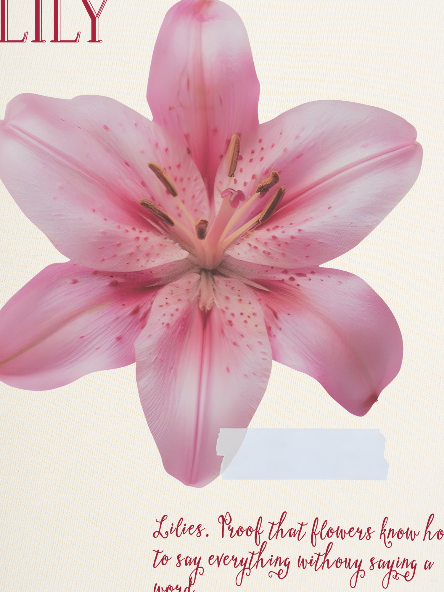 Áo Thun Ringer Relaxed Fit Floral Lily_s language