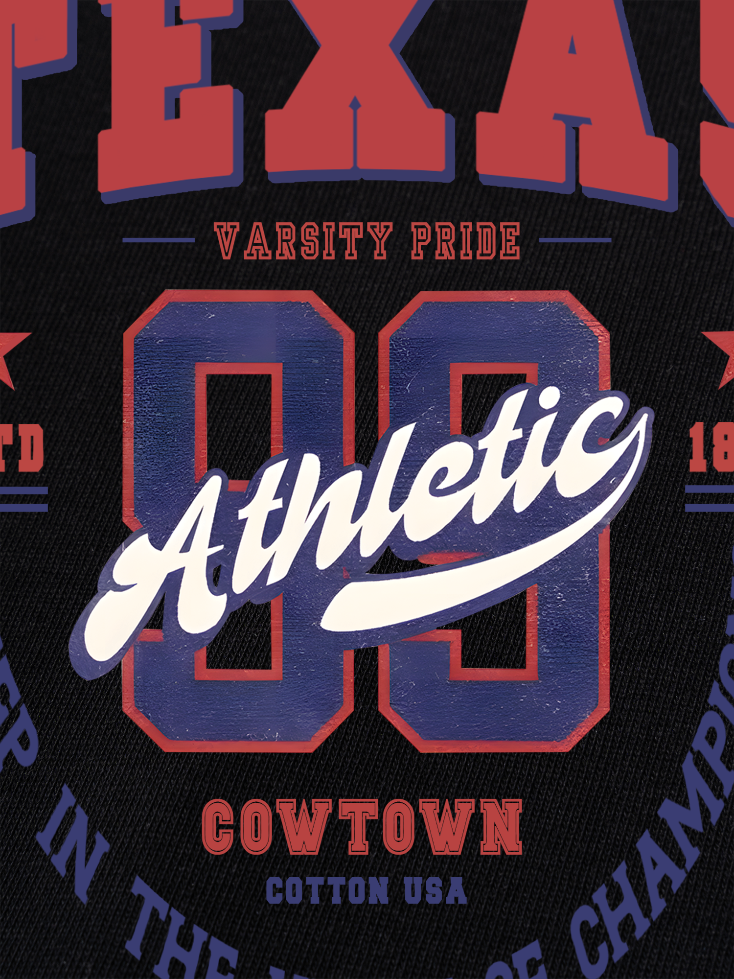 Áo Thun Ringer Relaxed Fit City Texas