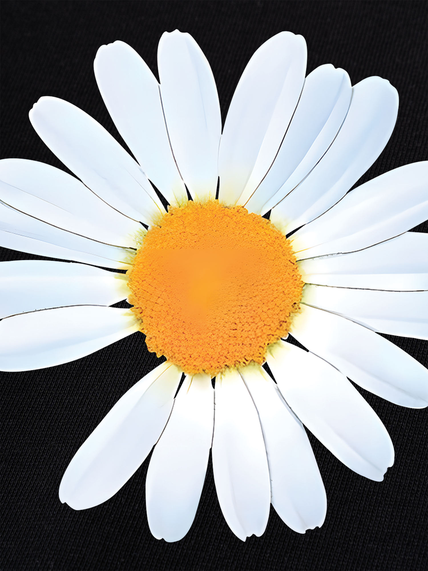 Áo Thun Ringer Relaxed Fit Floral Design For VIP Daisy Flower