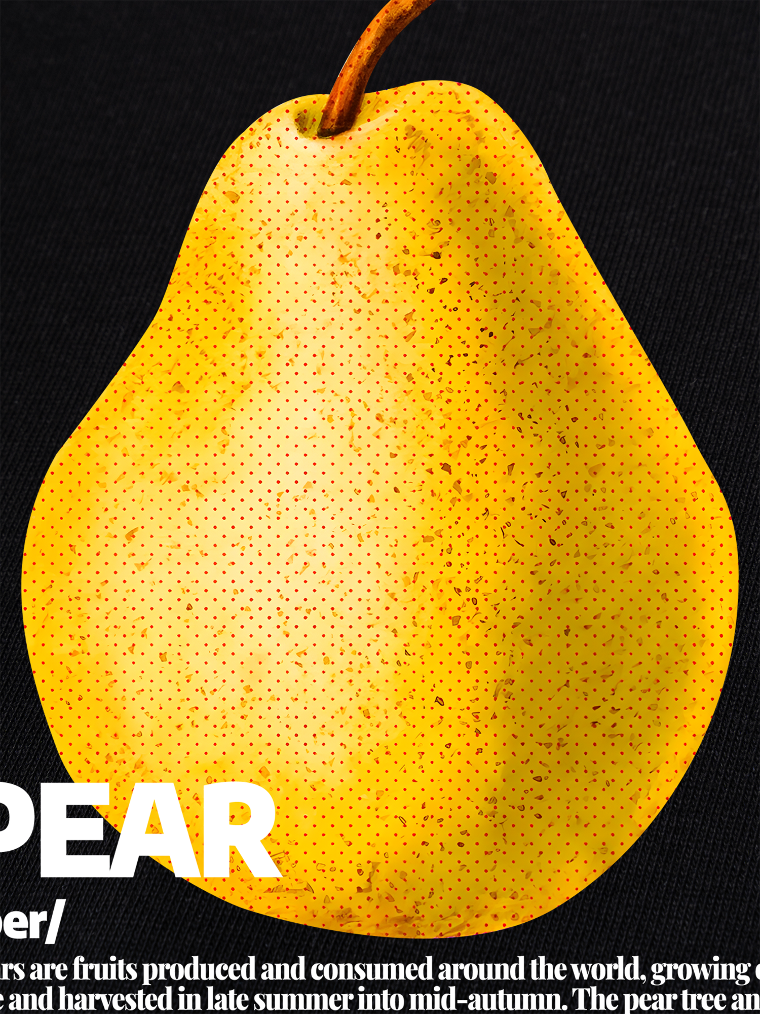 Áo Thun Ringer Relaxed Fit Tropical Pear Retro