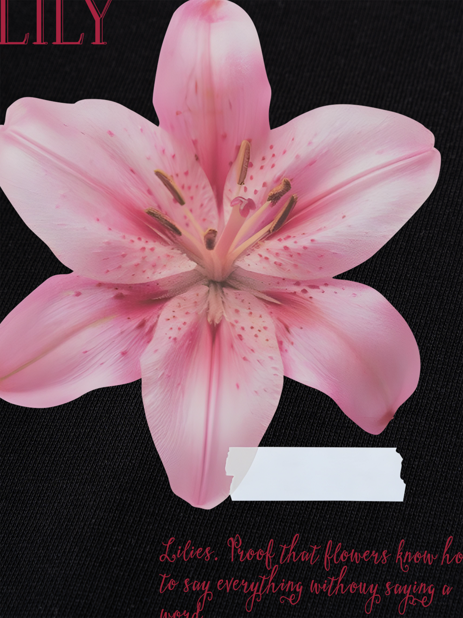 Áo Thun Ringer Relaxed Fit Floral Lily_s language