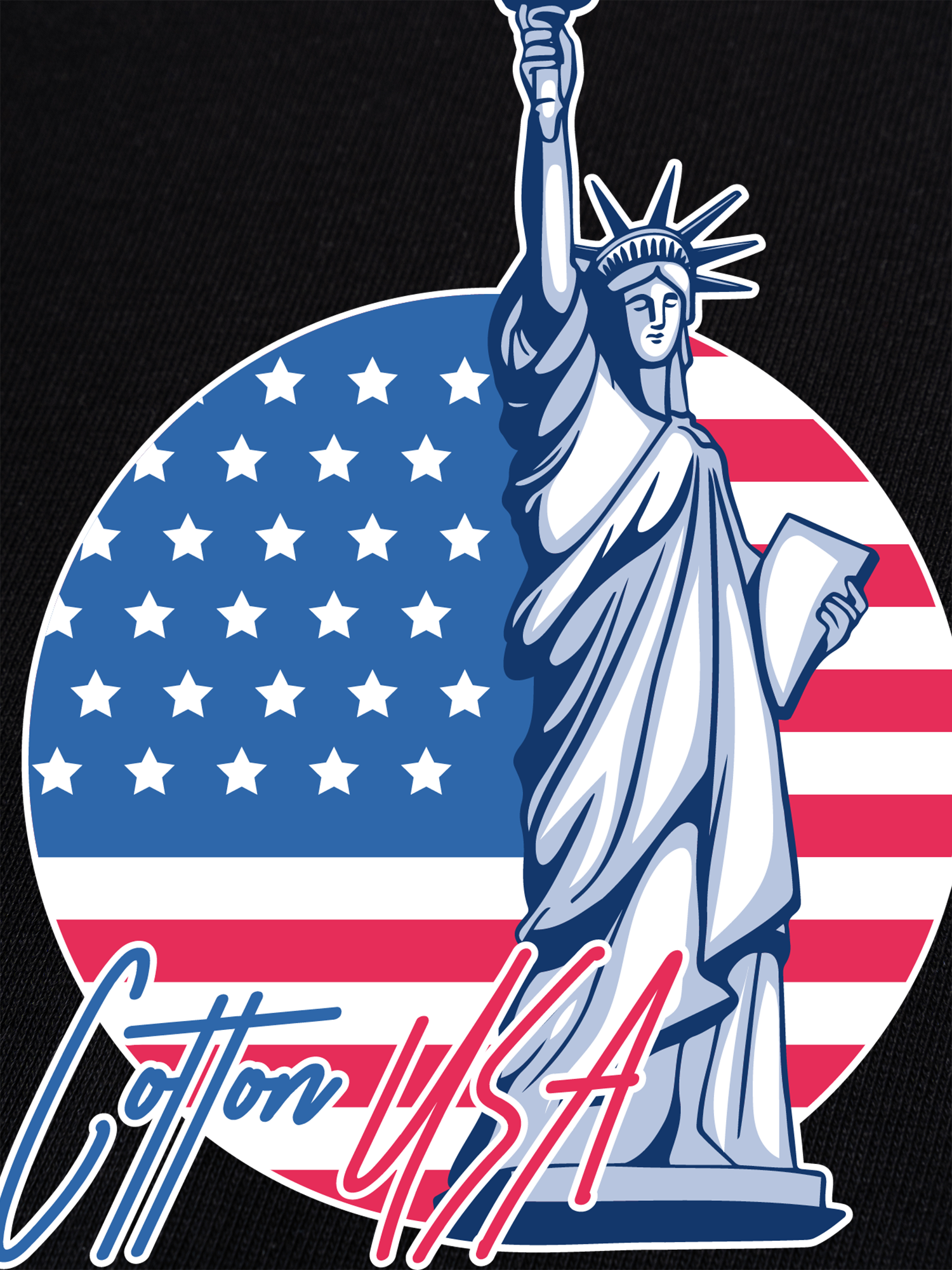 Áo Thun Ringer Relaxed Fit USA Statue Of Liberty