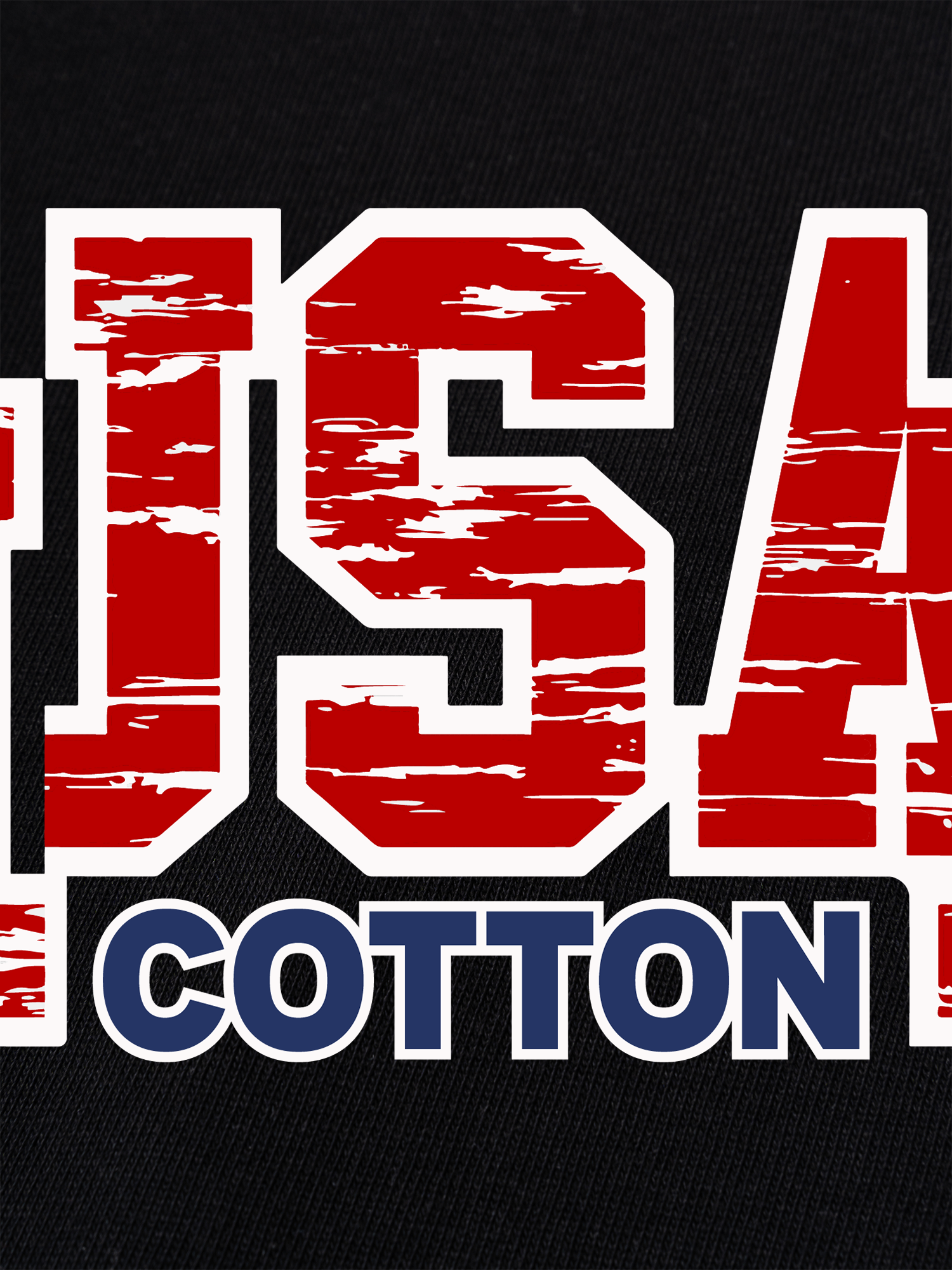 Áo Thun Ringer Relaxed Fit USA Scratched Typo