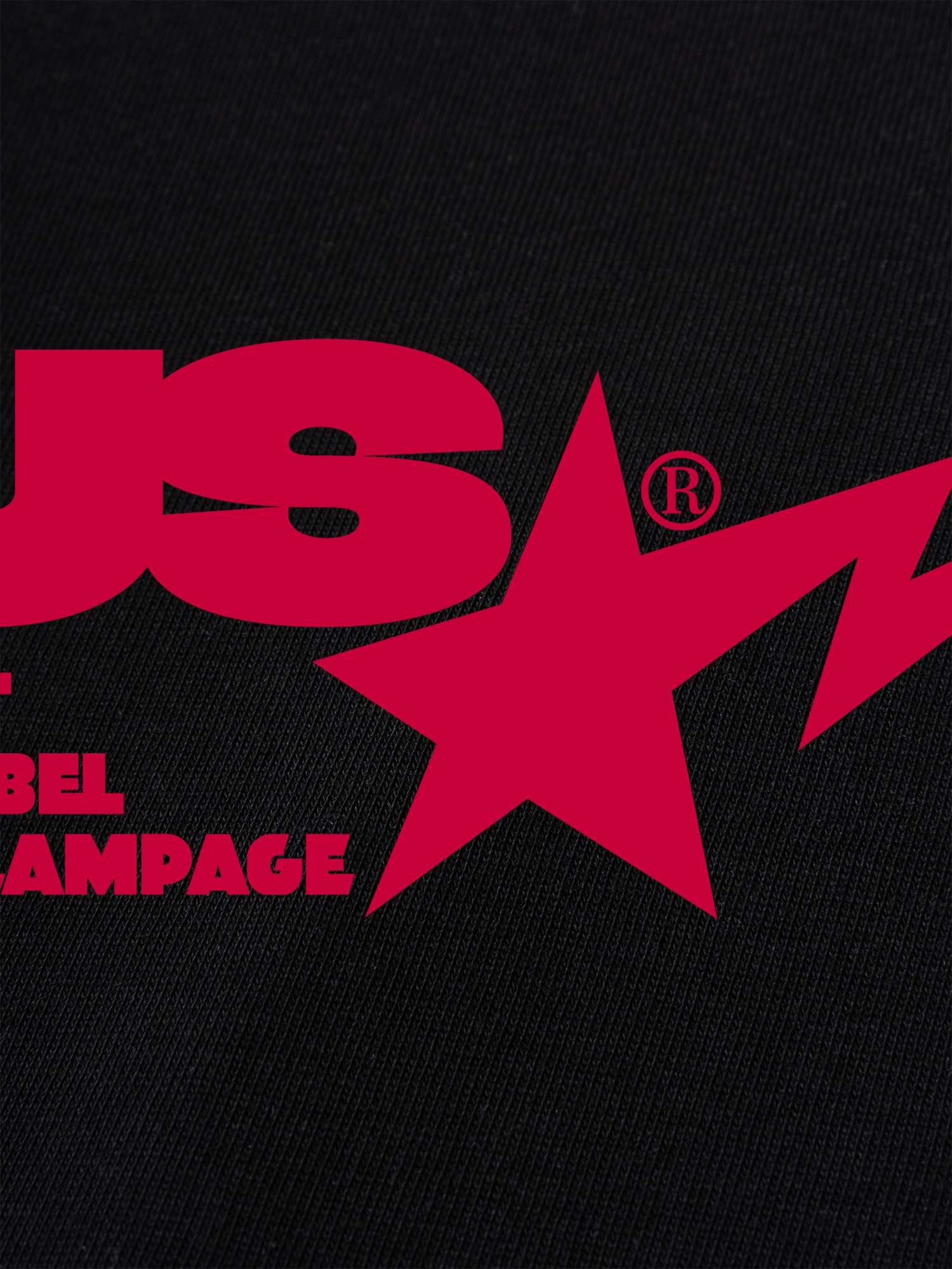 Áo Thun Ringer Relaxed Fit USA Riot Rebel Rampage