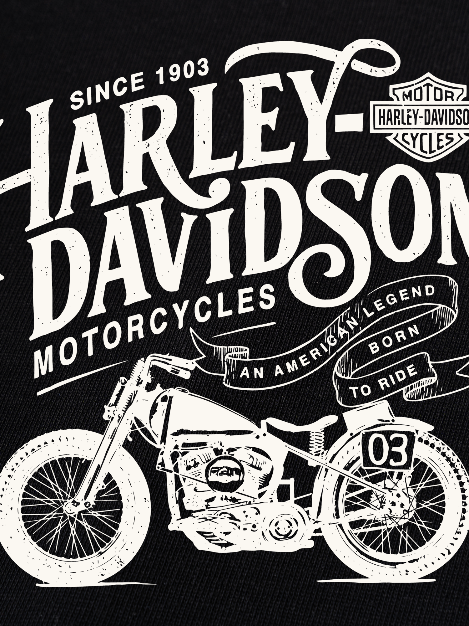 Áo Thun Ringer Relaxed Fit Motorcycles Harley Davidson