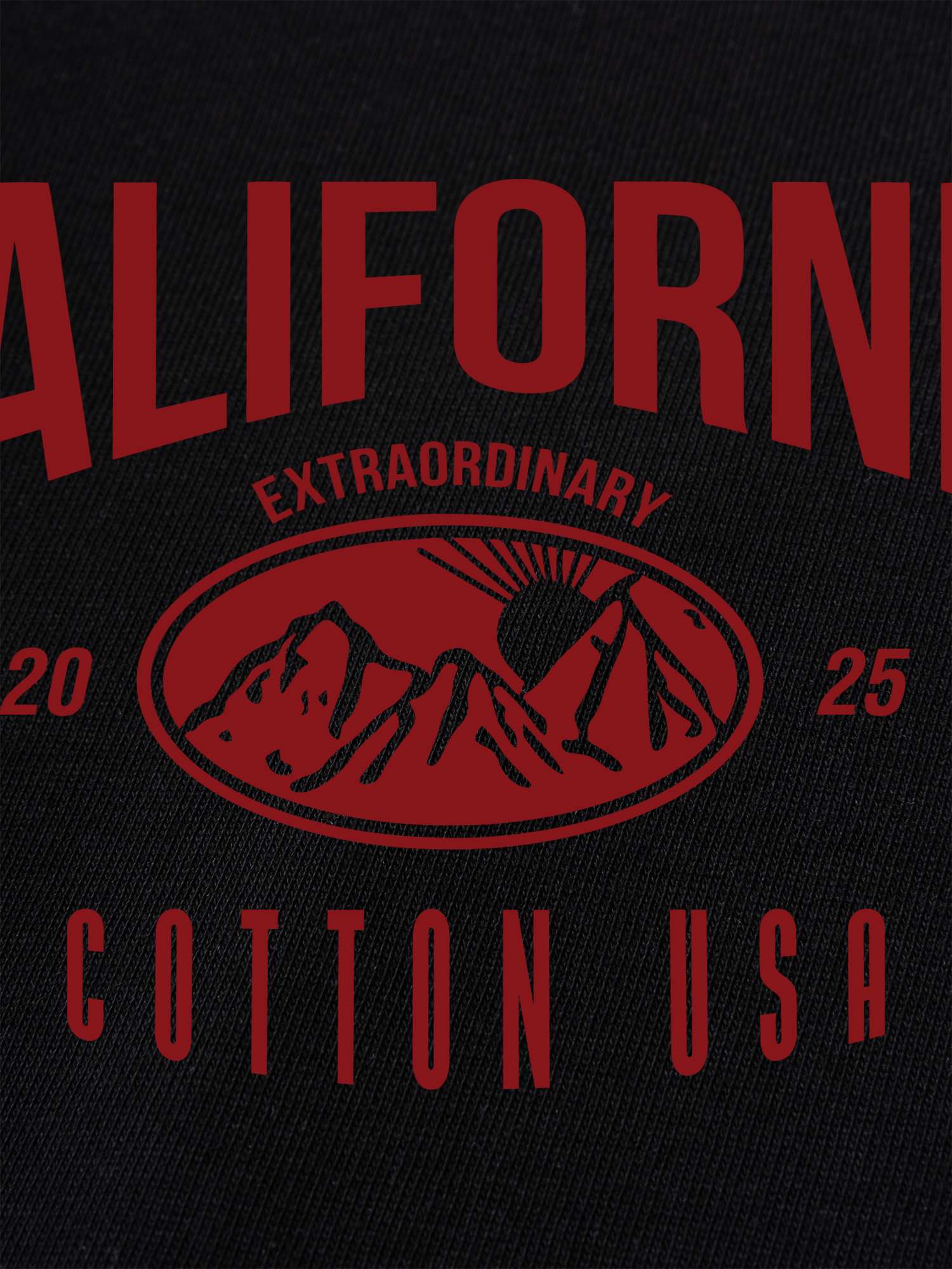 Áo Thun Ringer Relaxed Fit USA California Extraordinary
