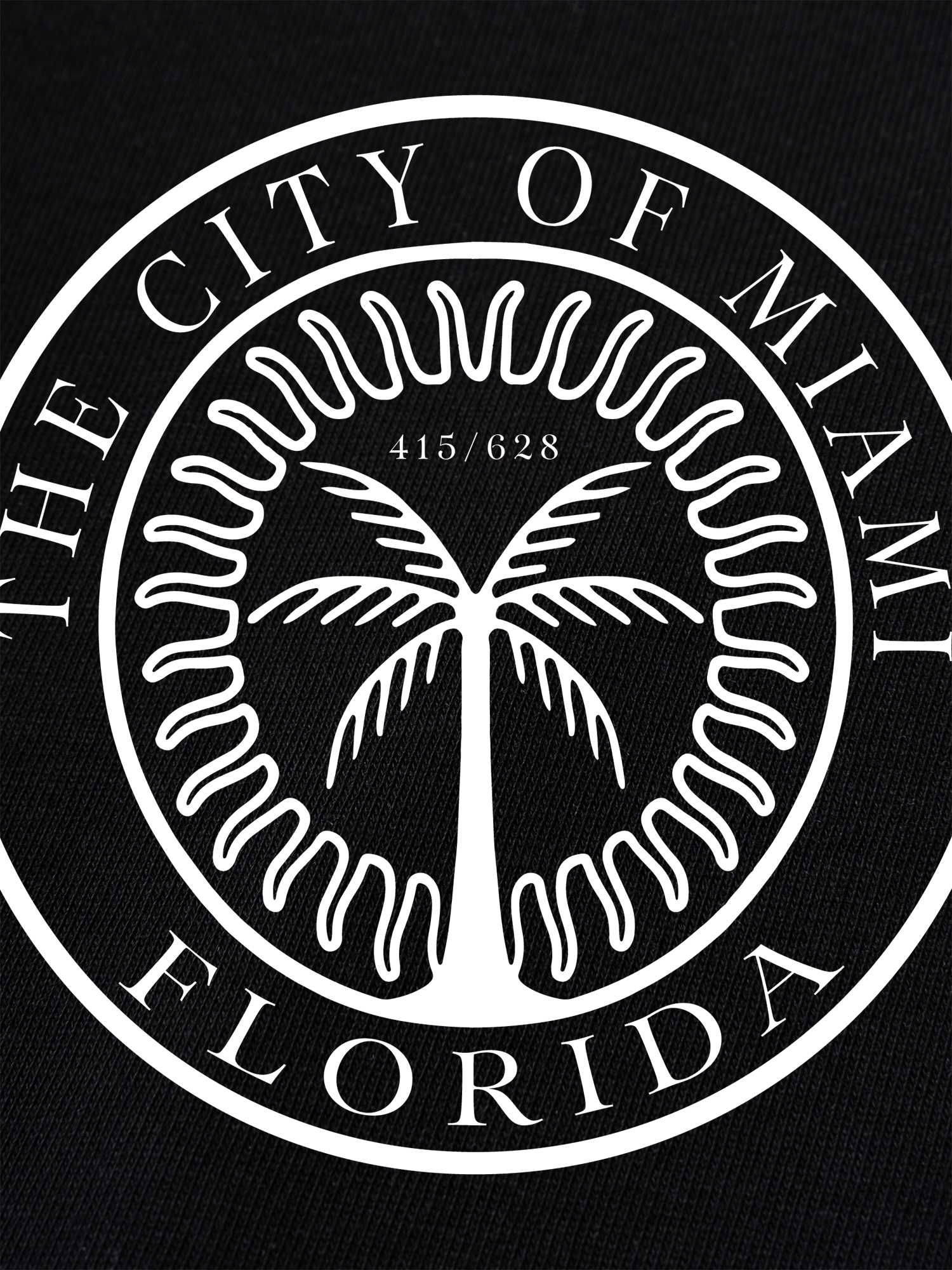 Áo Thun Ringer Relaxed Fit The City of Miami Florida