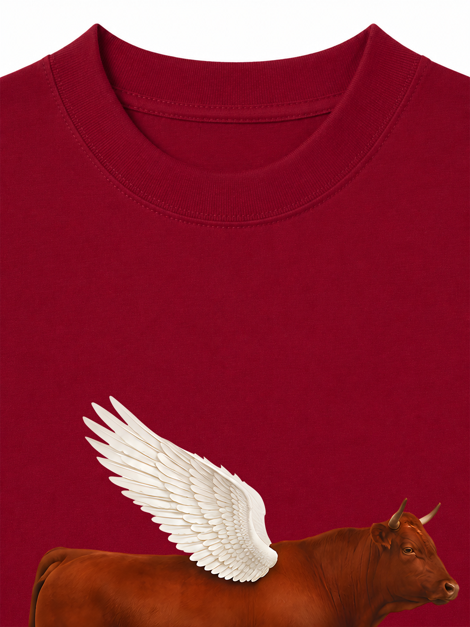 Áo Thun Relaxed Fit Find Your Wings