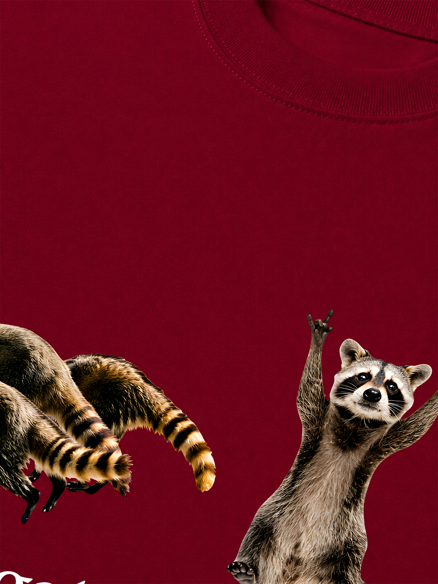 Áo Thun Relaxed Fit I Just Gotta Be Me Raccoon