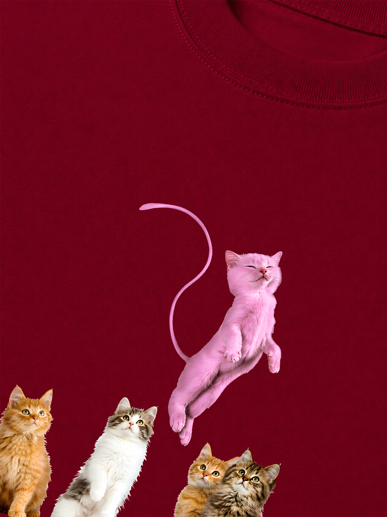 Áo Thun Relaxed Fit I Just Gotta Be Mew