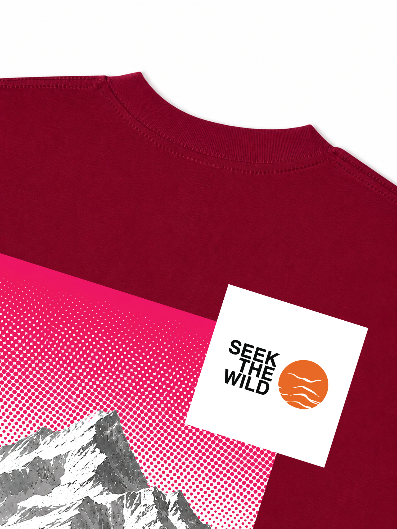 Áo Thun Relaxed Fit Adventure Seek The Wild 17