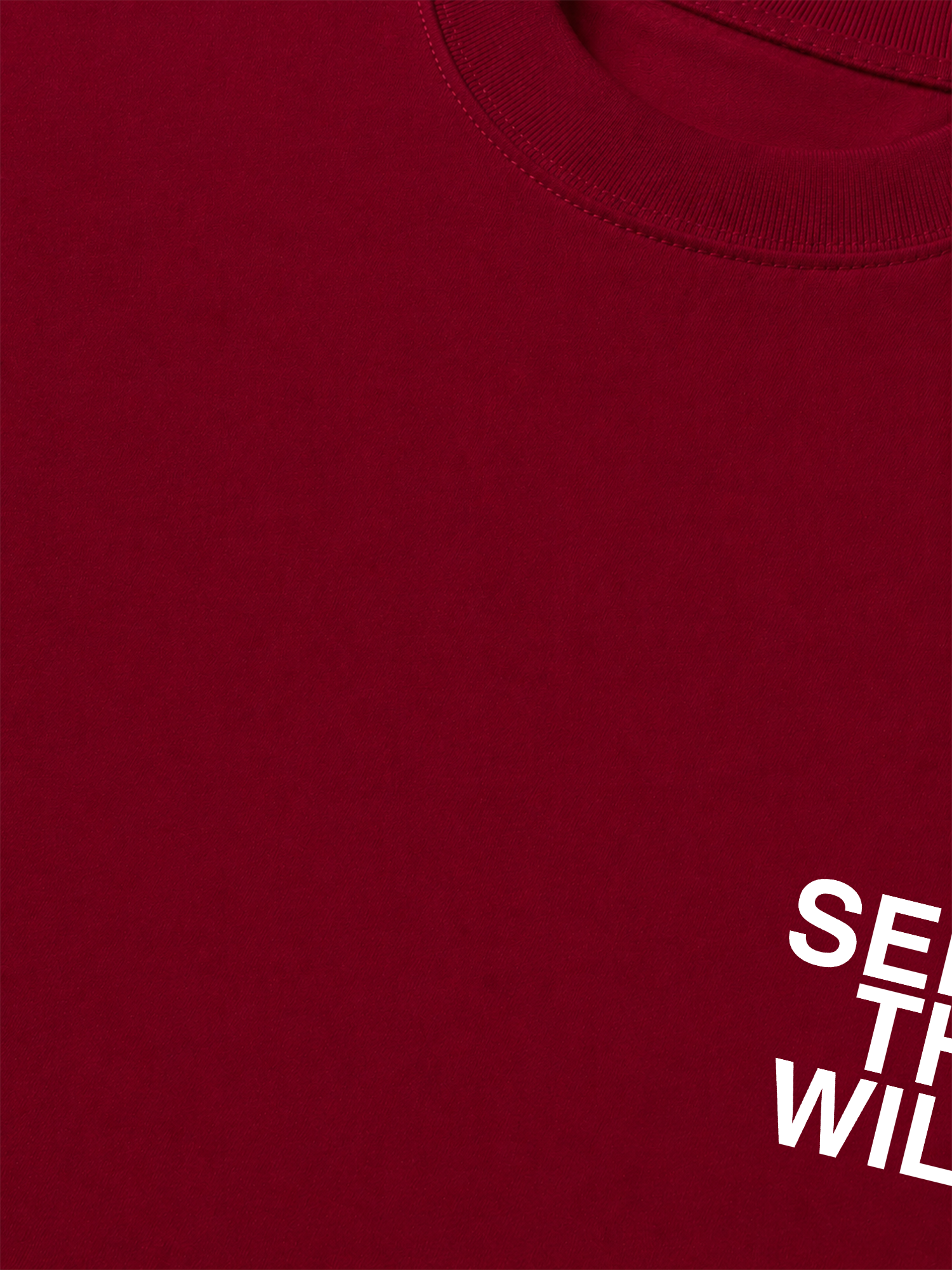 Áo Thun Relaxed Fit Adventure Seek The Wild Never Stop Exploring 6