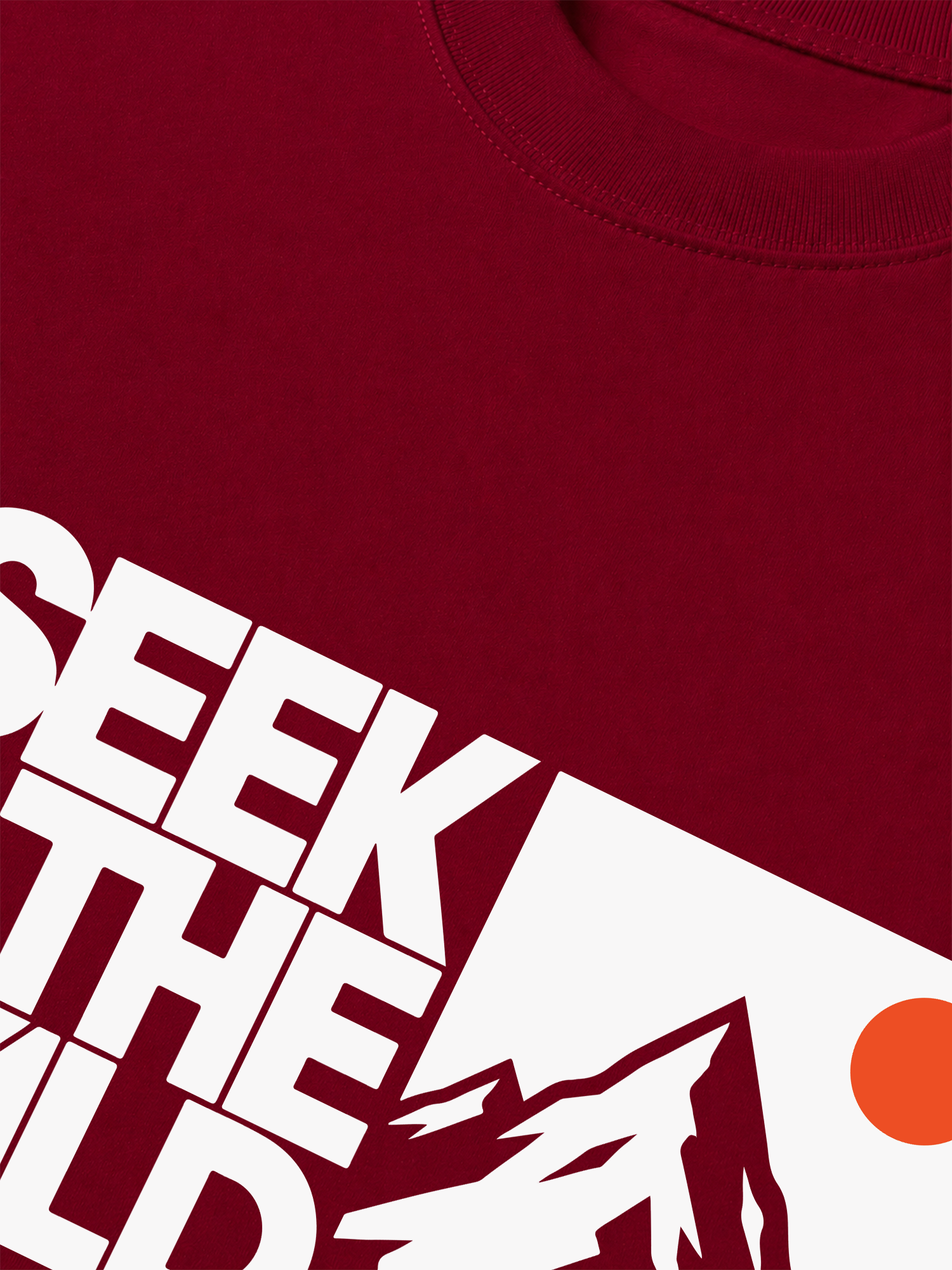Áo Thun Relaxed Fit Adventure Seek The Wild 7