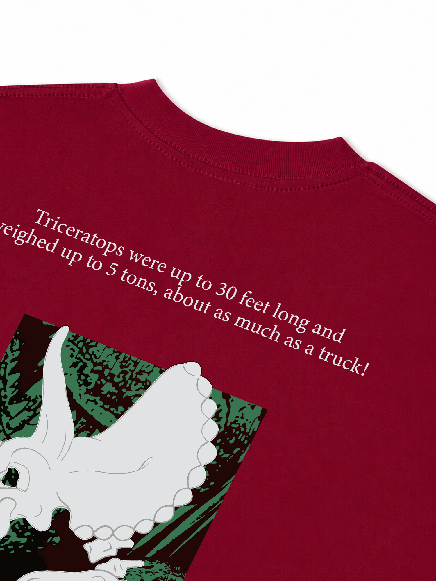 Áo Thun Relaxed Fit Triceratops