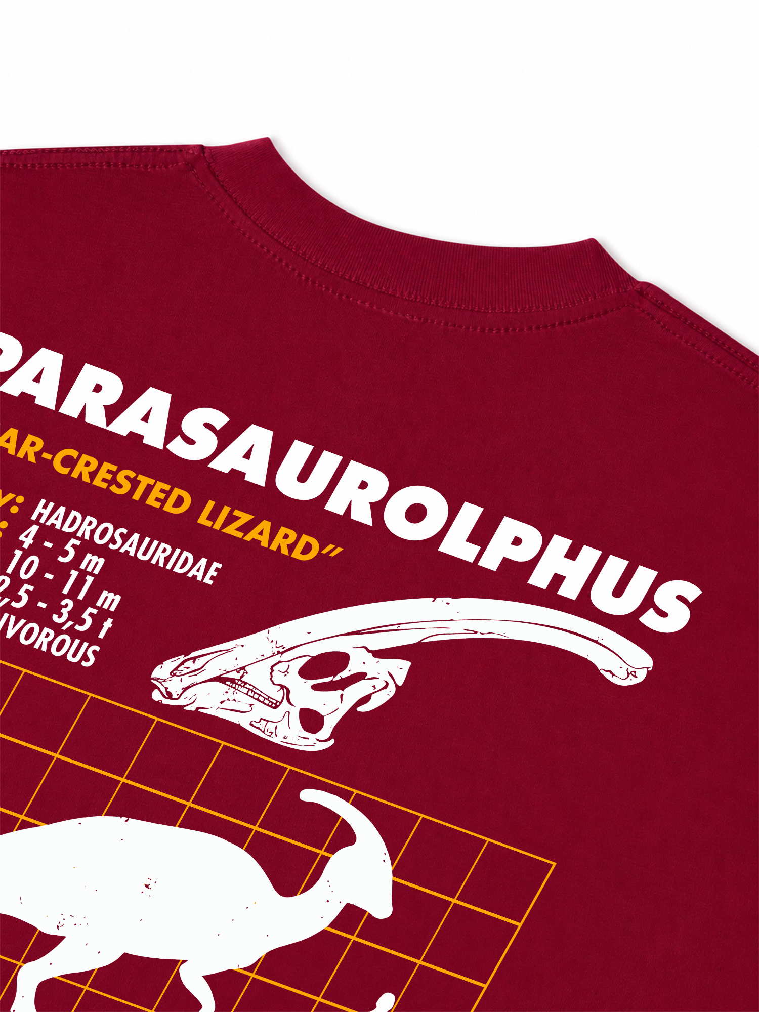 Áo Thun Relaxed Fit Analysis Table Parasaurolphus