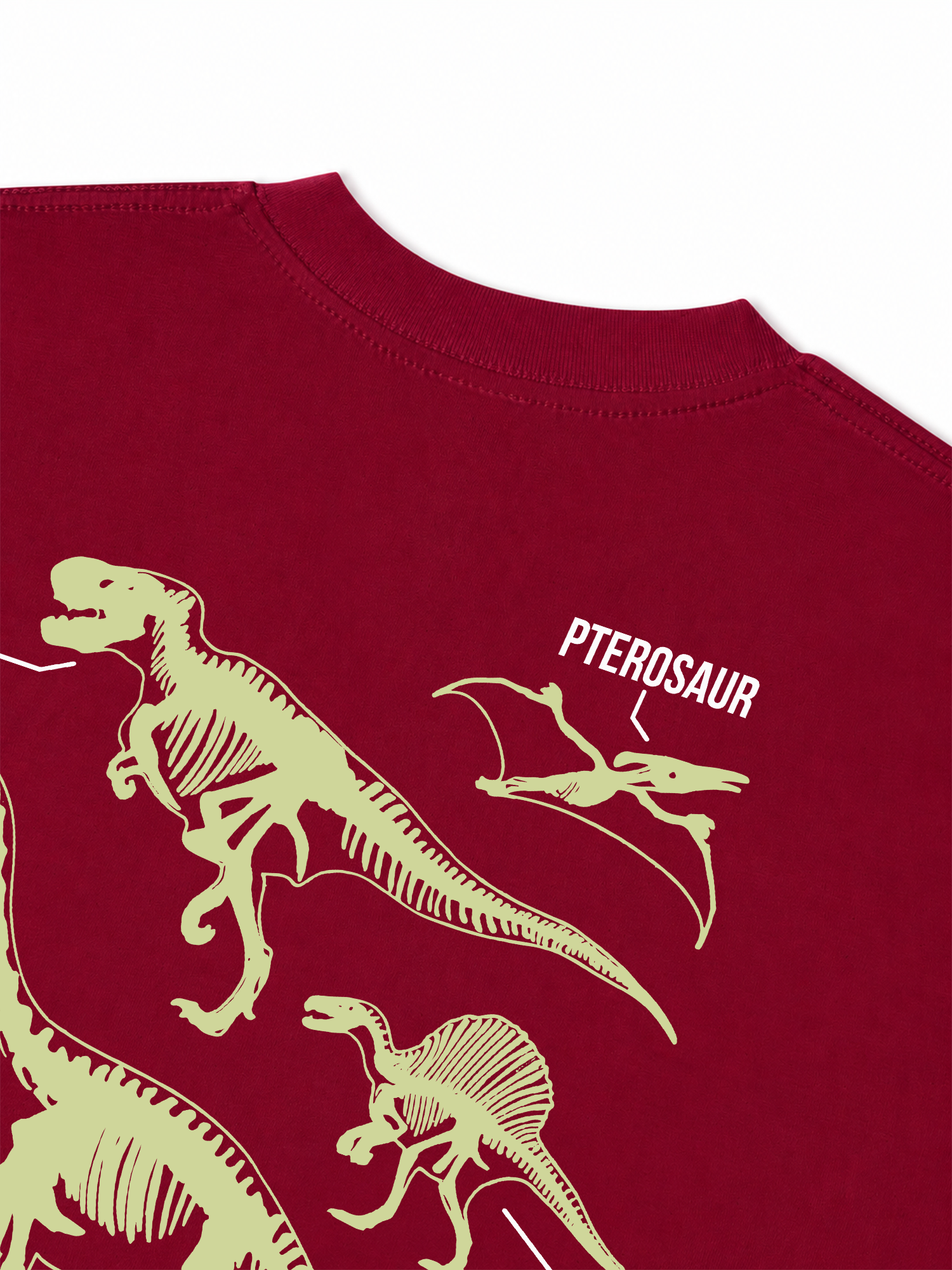Áo Thun Relaxed Fit World Of Dino