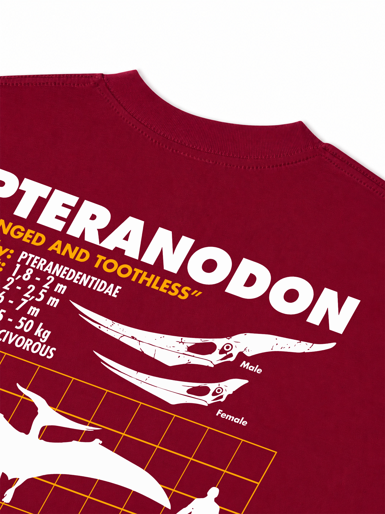 Áo Thun Relaxed Fit Analysis Table Pteranodon