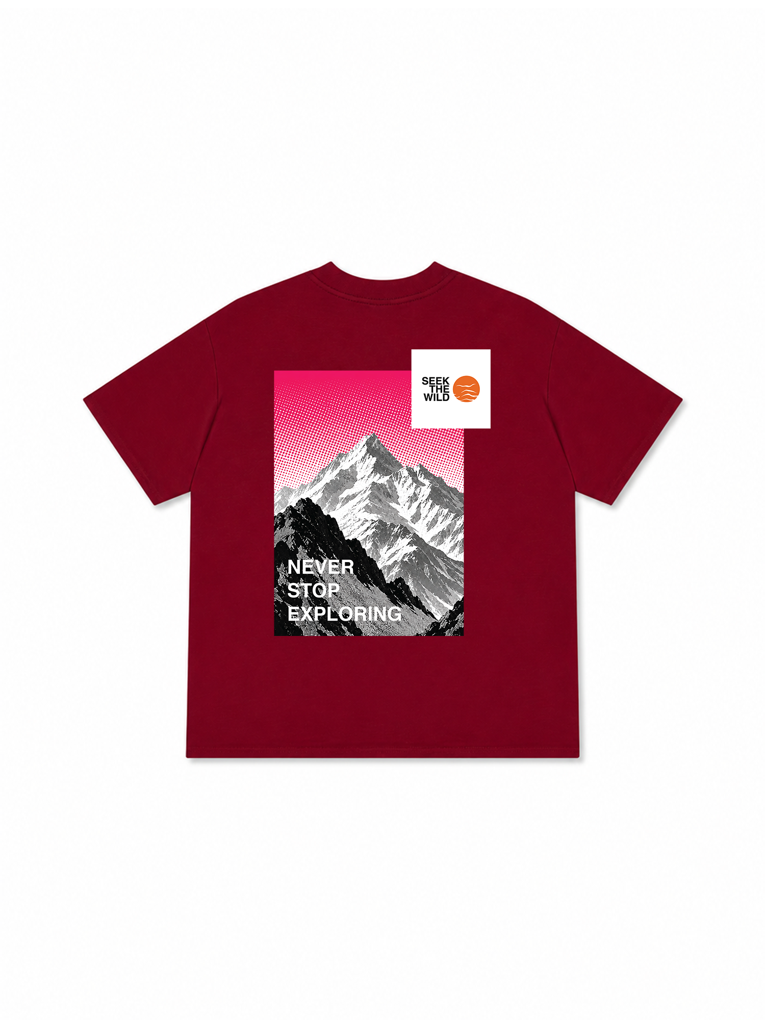 Áo Thun Relaxed Fit Adventure Seek The Wild 17