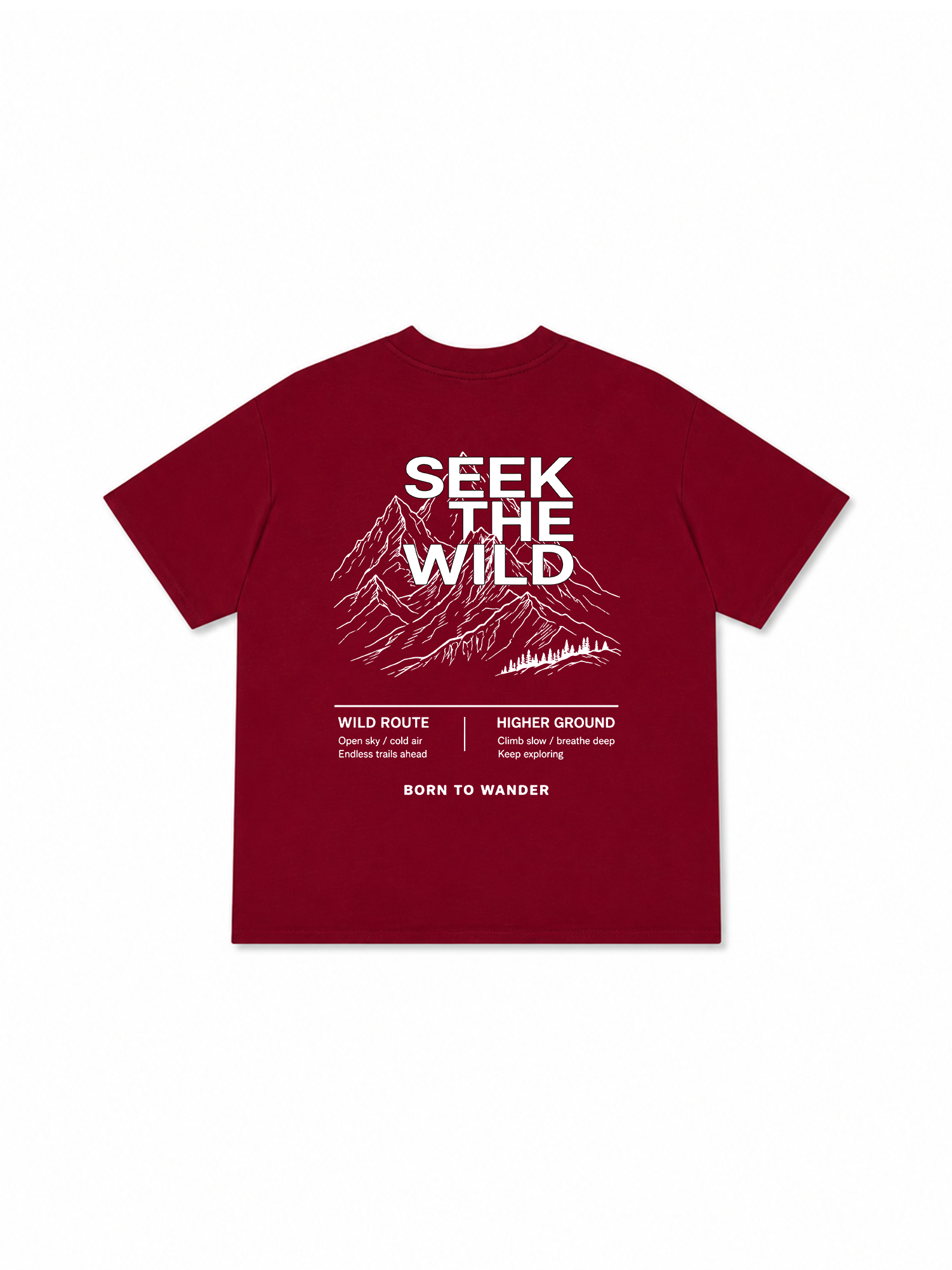 Áo Thun Relaxed Fit Adventure Seek The Wild 4