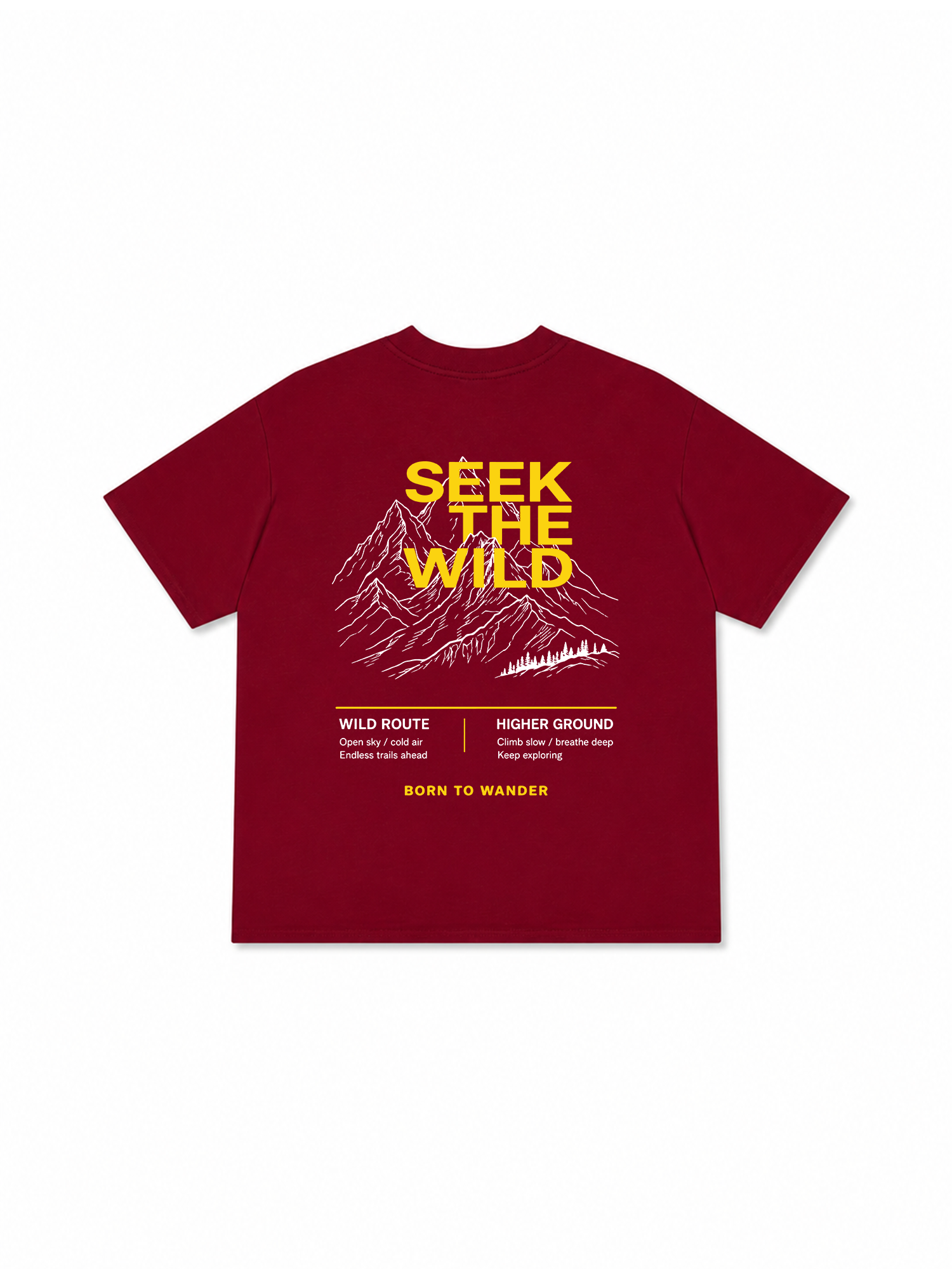 Áo Thun Relaxed Fit Adventure Seek The Wild 2