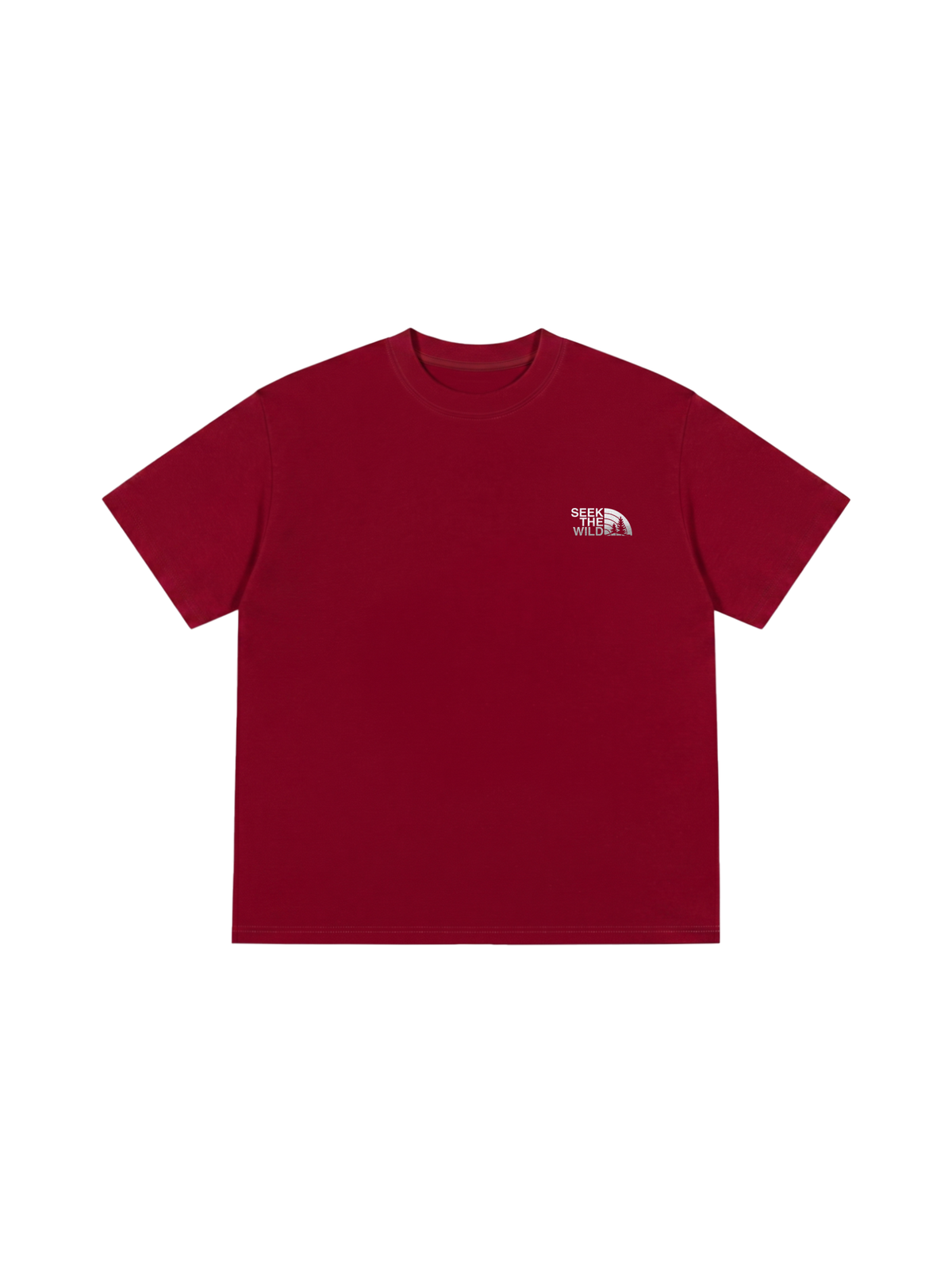 Áo Thun Relaxed Fit Adventure STW Silver