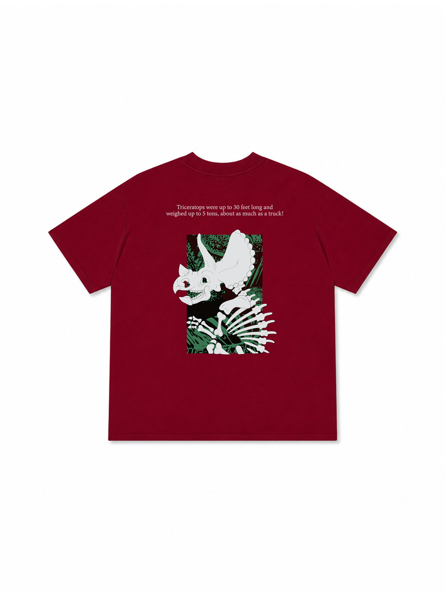 Áo Thun Relaxed Fit Triceratops
