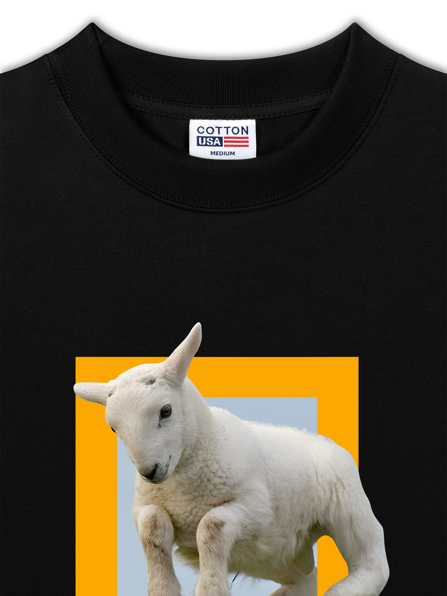 Áo Thun Relaxed Fit Wild Life Demonstrating Simple