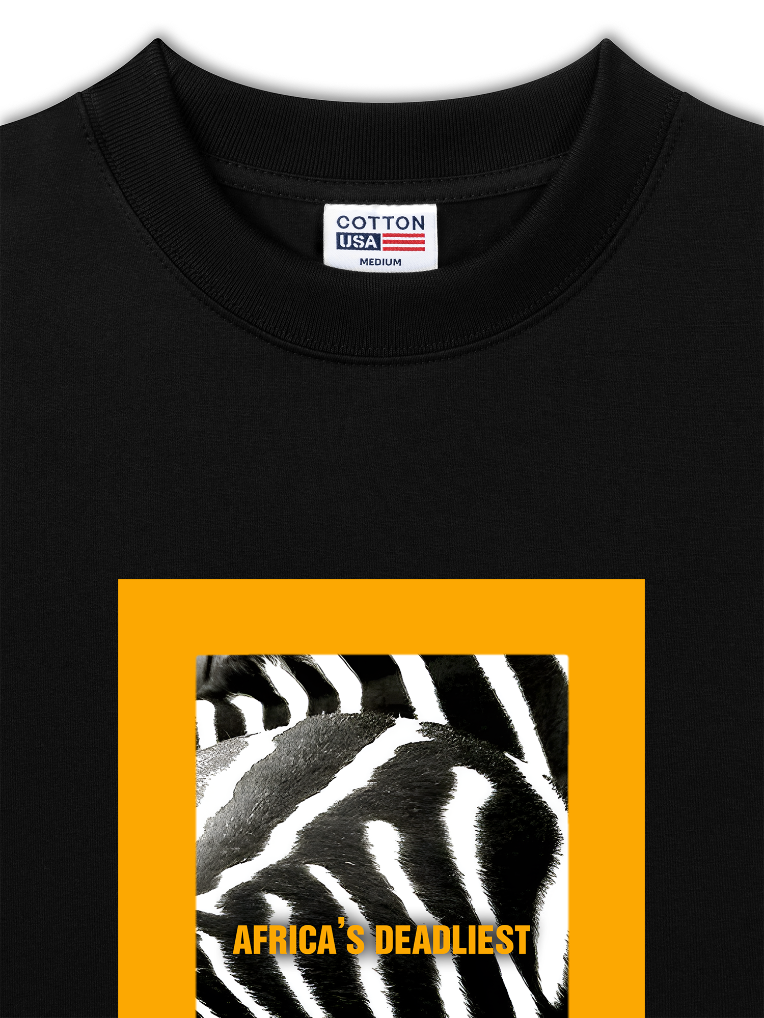 Áo Thun Relaxed Fit Wild Life Zebra Stripes Africa