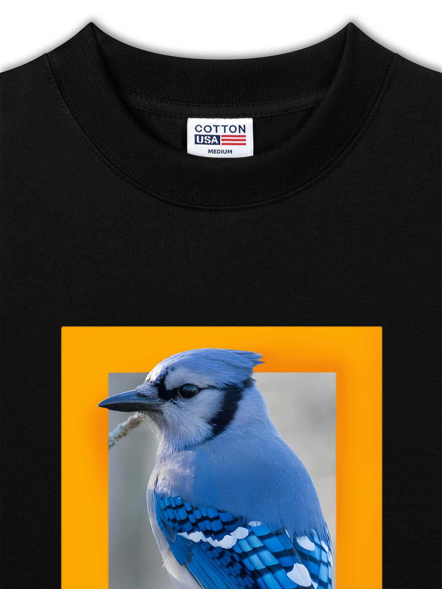 Áo Thun Relaxed Fit Wild Life Hold Fast To Dreams