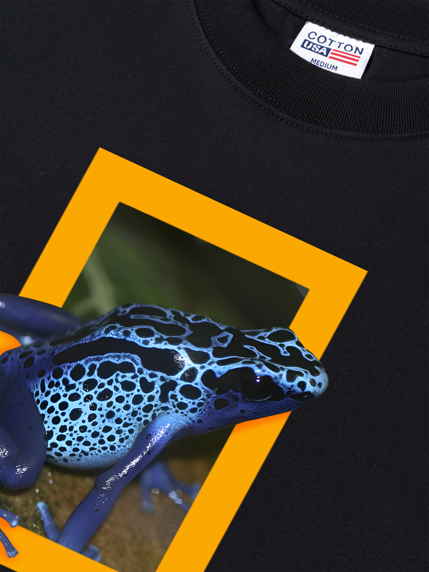 Áo Thun Relaxed Fit Wild Life Poison Frogs Are Mostly Diurnal