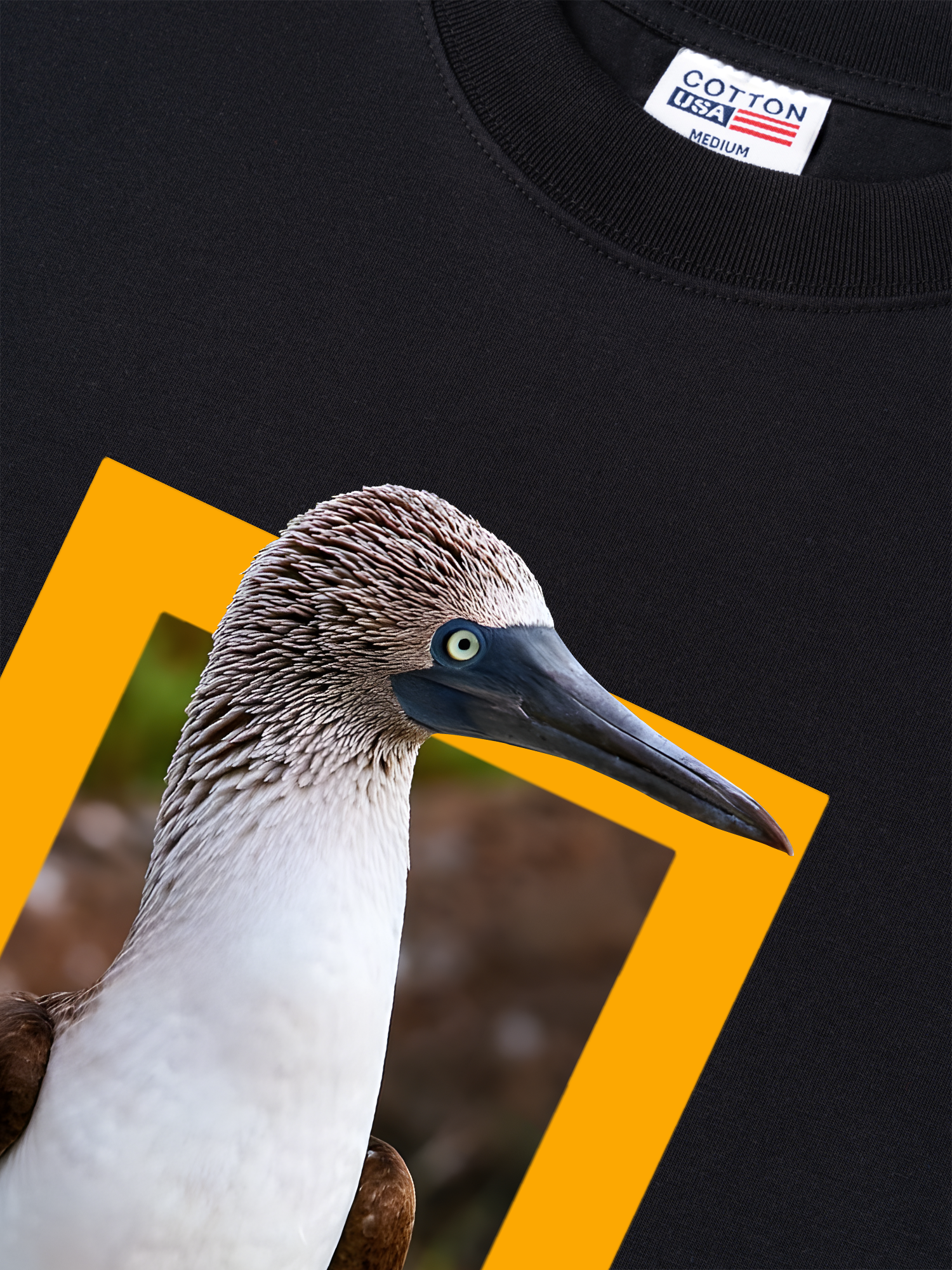 Áo Thun Relaxed Fit Wild Life Poetry Is Like a Bird