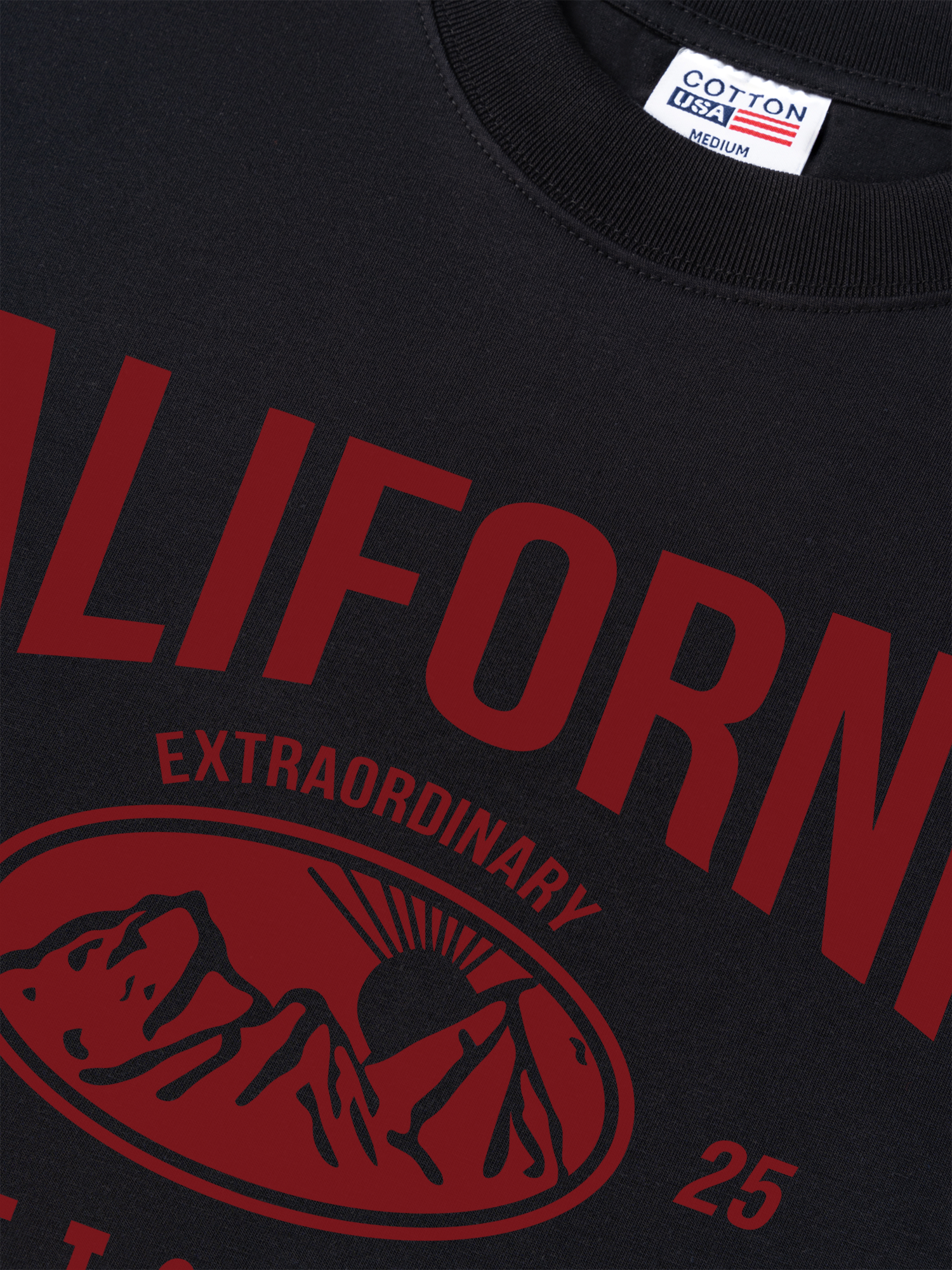 Áo Thun Relaxed Fit USA California Extraordinary