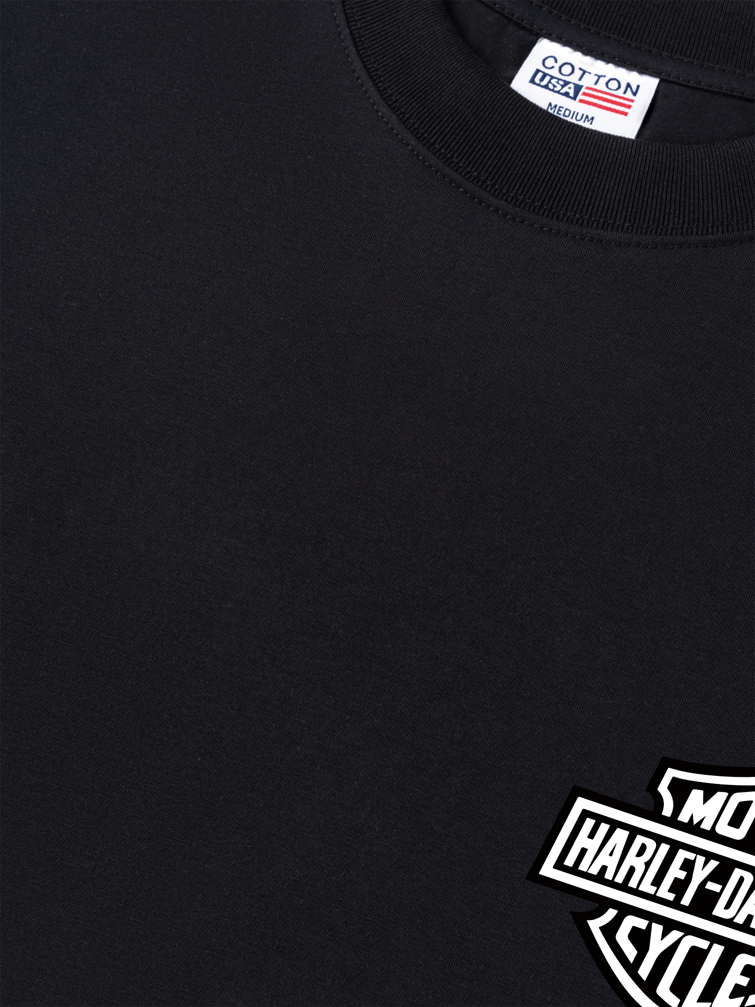Áo Thun Relaxed Fit Dark Horse Rider Davidson