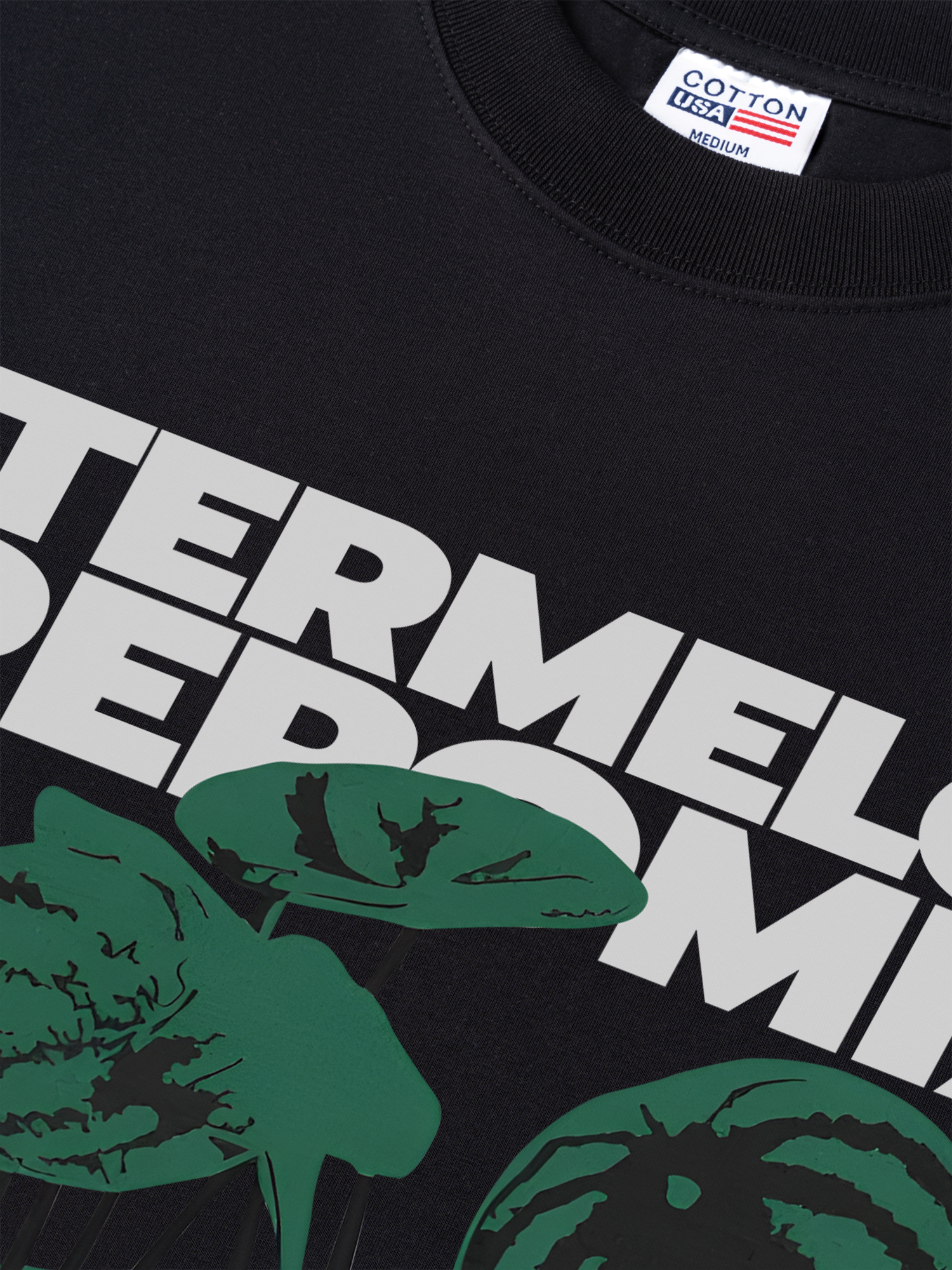 Áo Thun Relaxed Fit Tropical Watermelon Pereromia