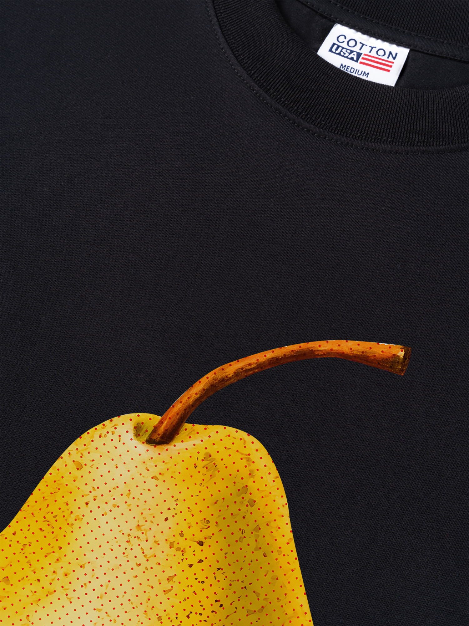 Áo Thun Relaxed Fit Tropical Pear Retro