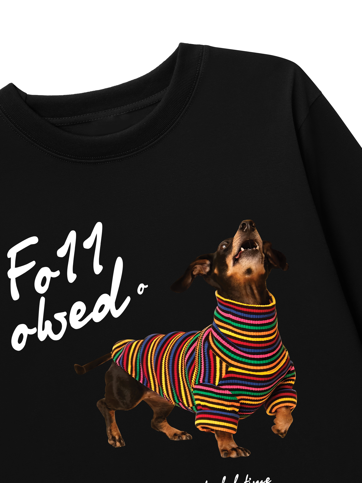 Áo Thun Dài Tay Rainbow Sweater With Dog