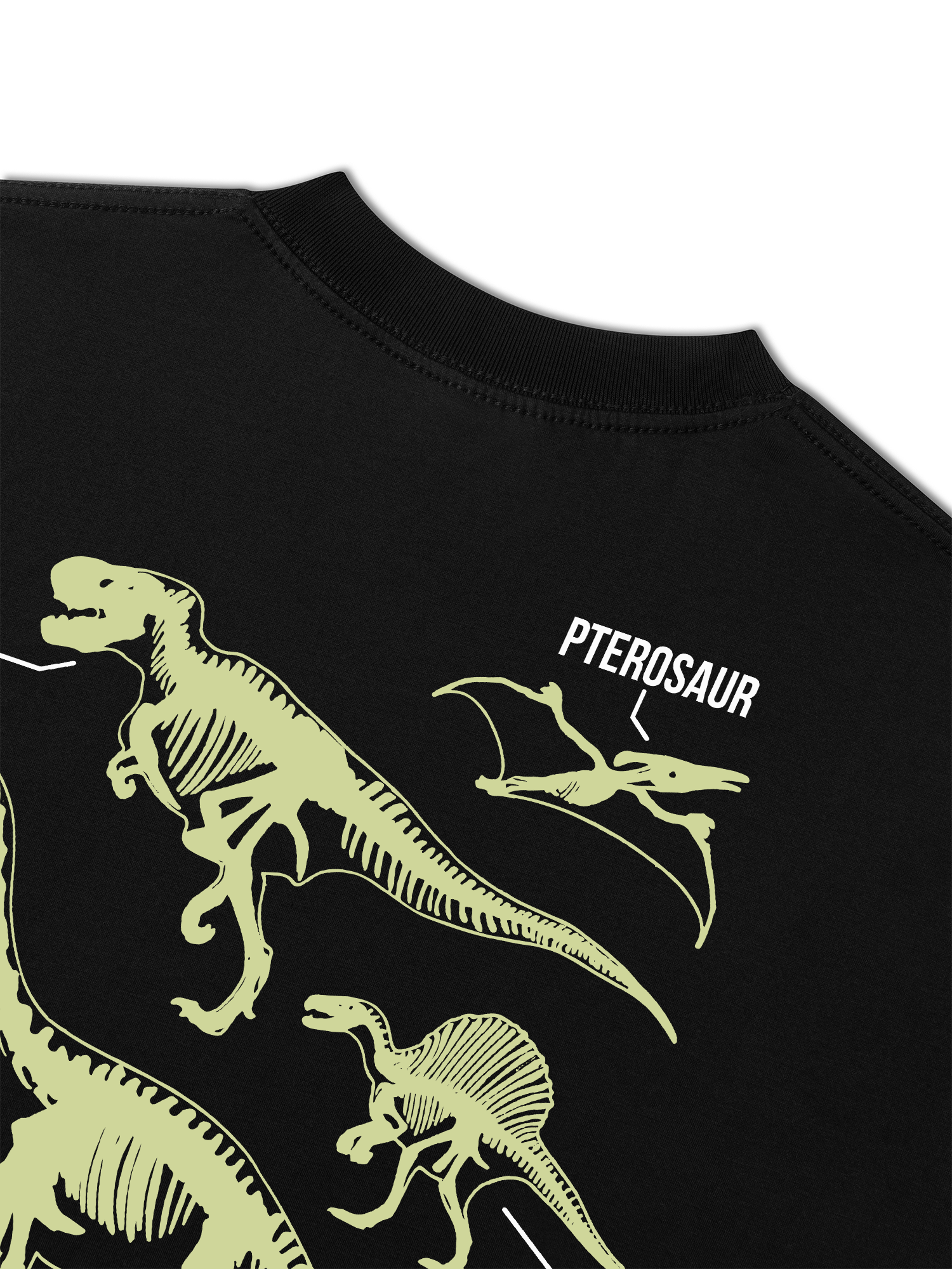 Áo Thun Relaxed Fit World Of Dino