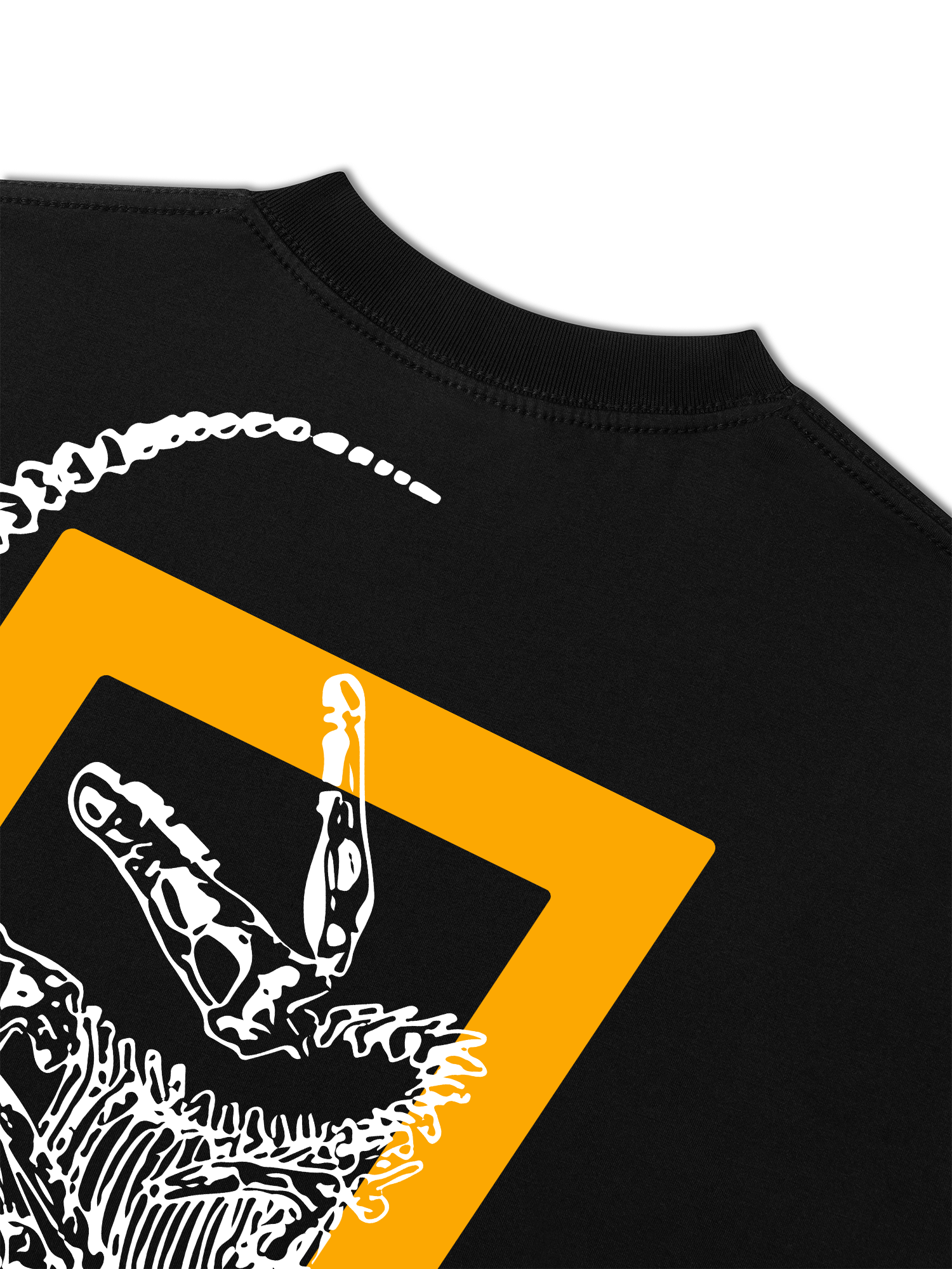 Áo Thun Relaxed Fit Wild Life The Fossil Raptor