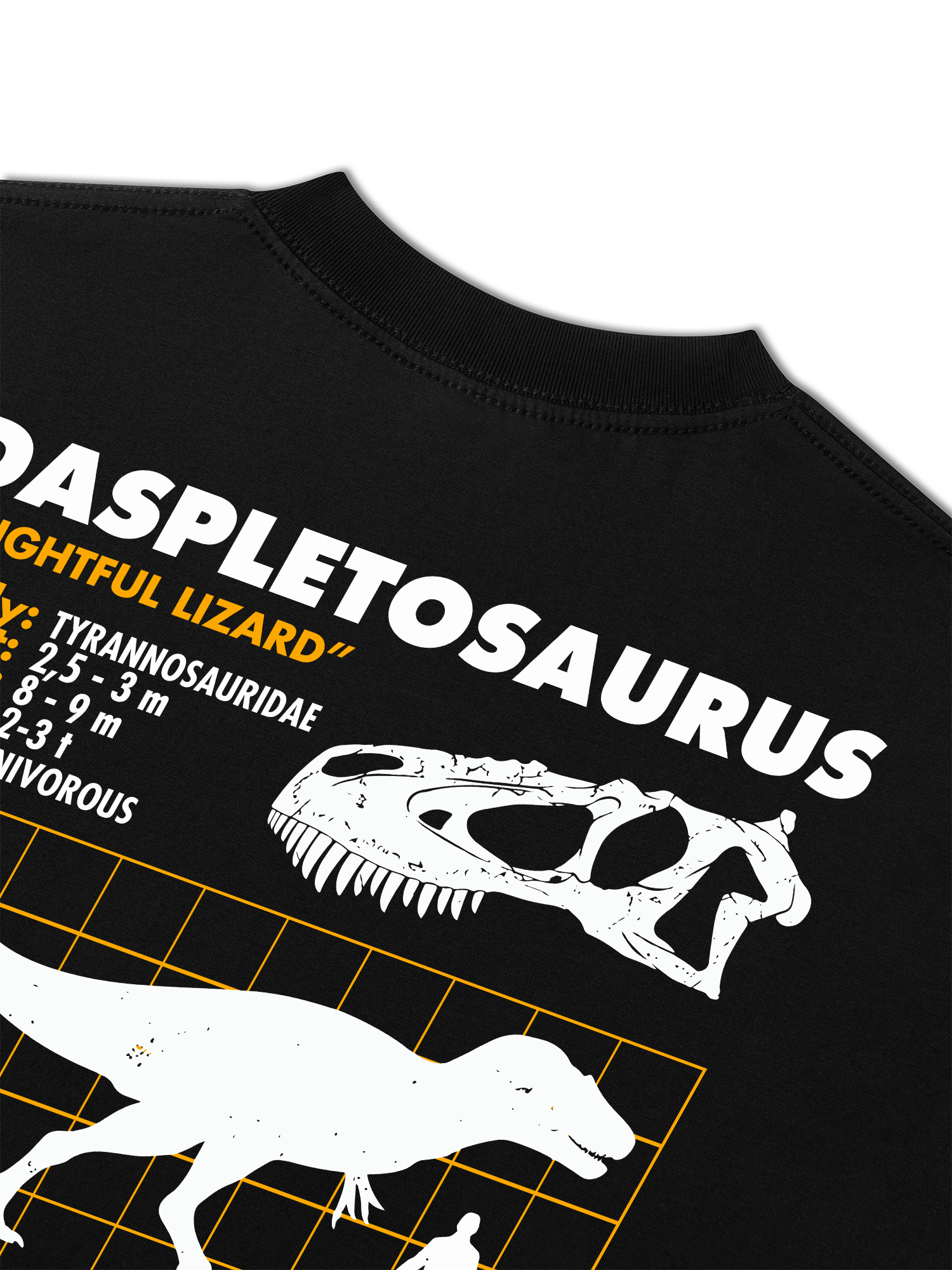 Áo Thun Relaxed Fit Analysis Table Daspletosaurus