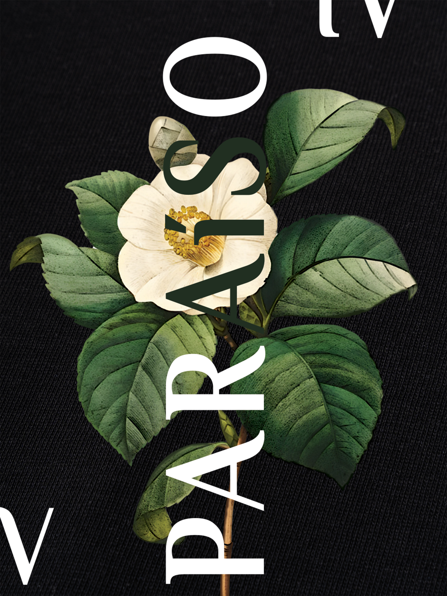 Áo Thun Ringer Relaxed Fit Paraíso