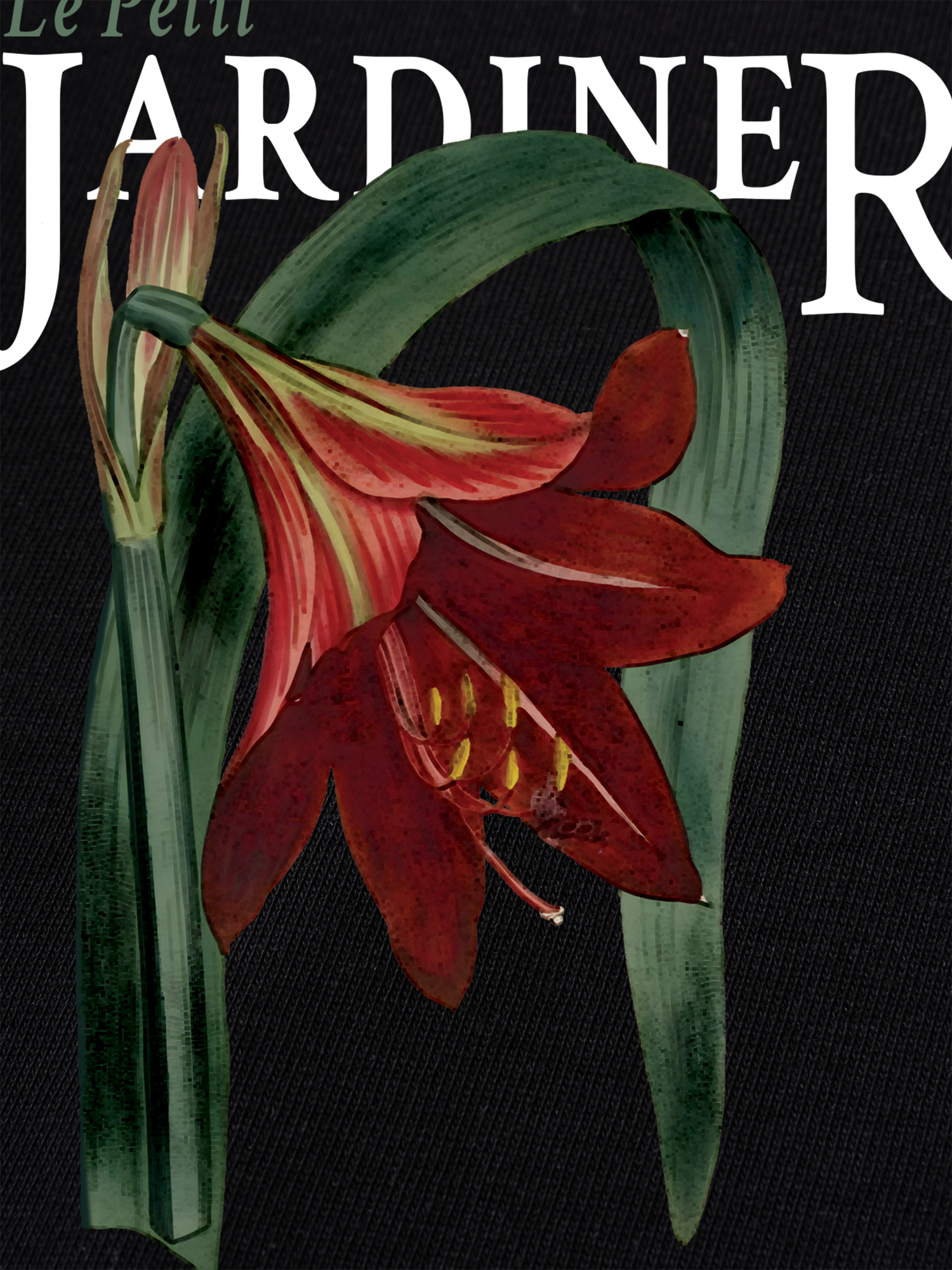 Áo Thun Ringer Relaxed Fit Le Petit Jardiner