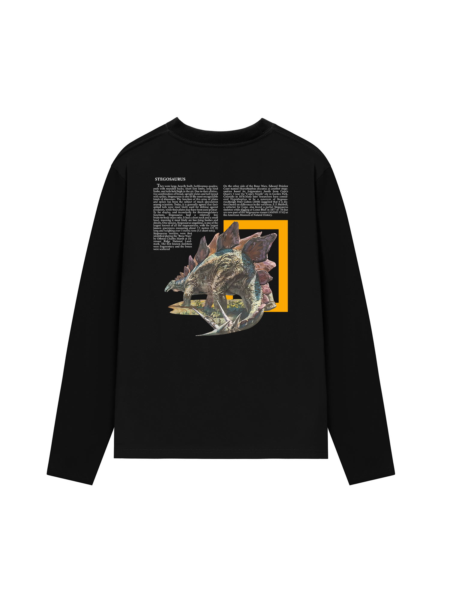 Áo Thun Dài Tay Wild Life Stegosaurus