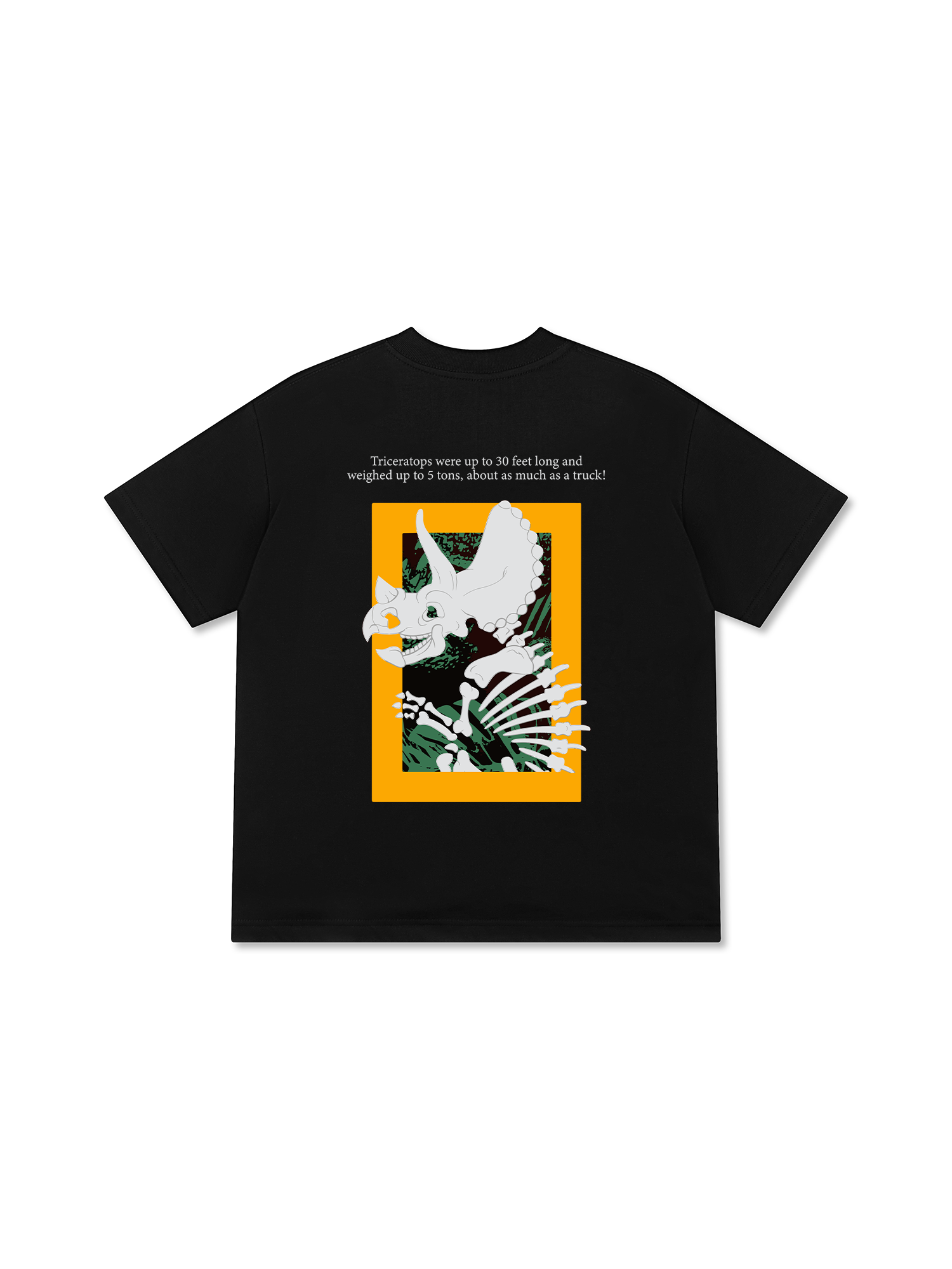 Áo Thun Relaxed Fit Wild Life Triceratops