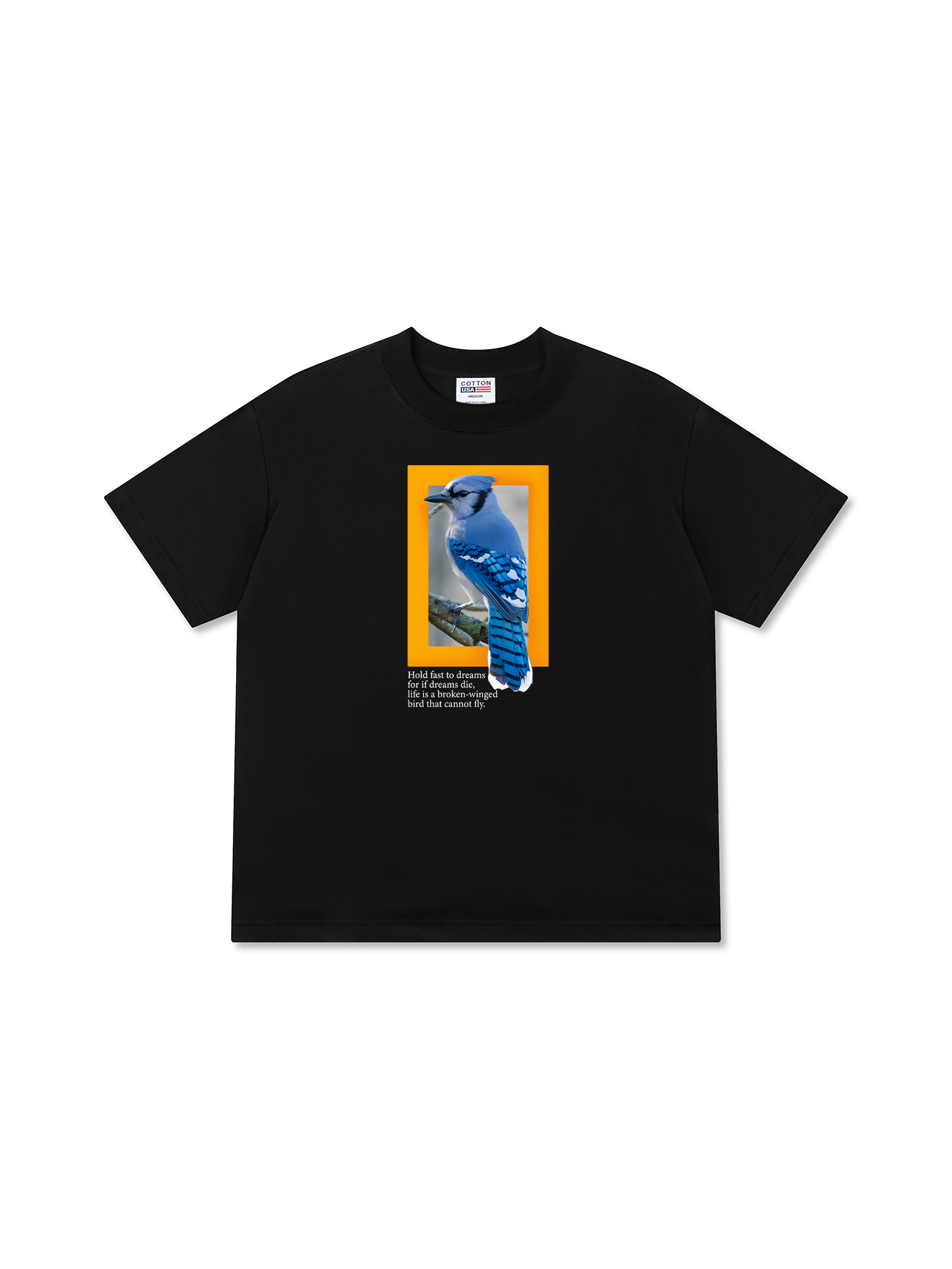 Áo Thun Relaxed Fit Wild Life Hold Fast To Dreams